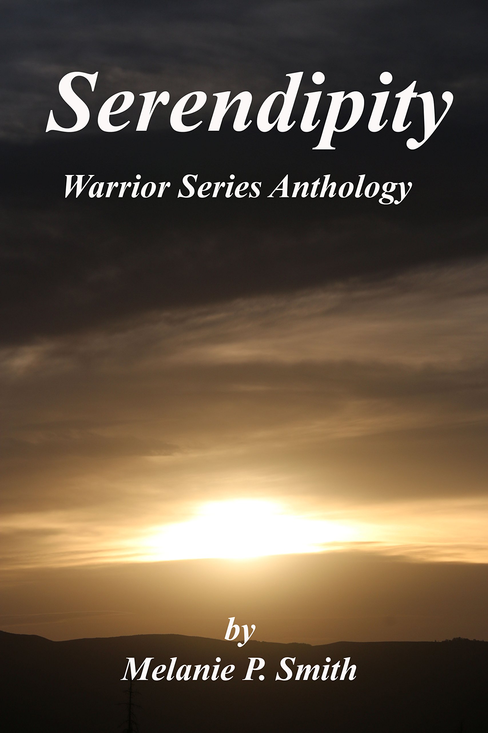 Serendipity: Novella: Book 2.5 (Warrior Series)