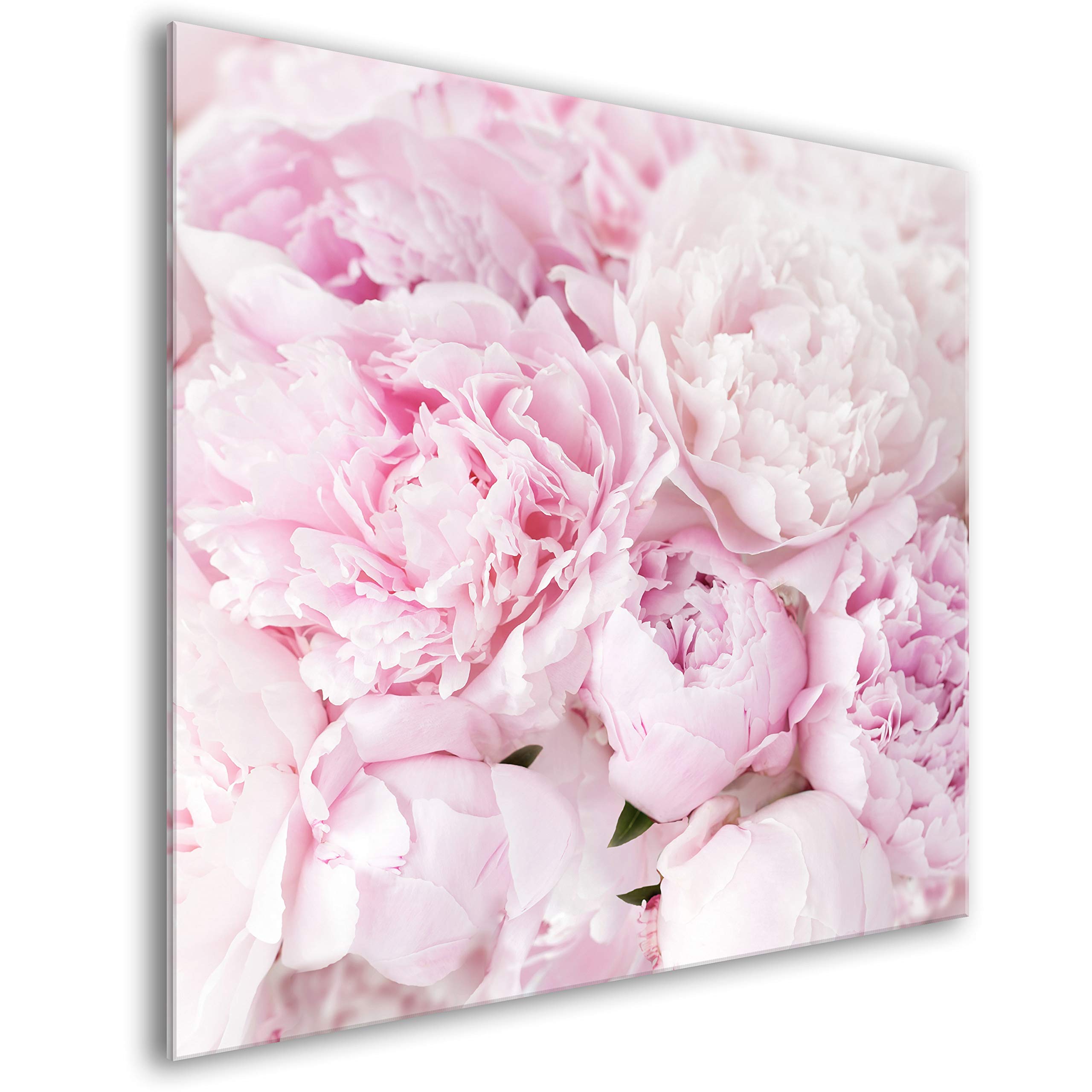 murando - Crédence Verre Cuisine 60x60 cm - Plaque Anti-Projection - Couvercle Anti-éclaboussures crédence - Plaque en Verre trempé - Fleurs Pivoine Nature Pétales Roses b-C-0639-aq-a