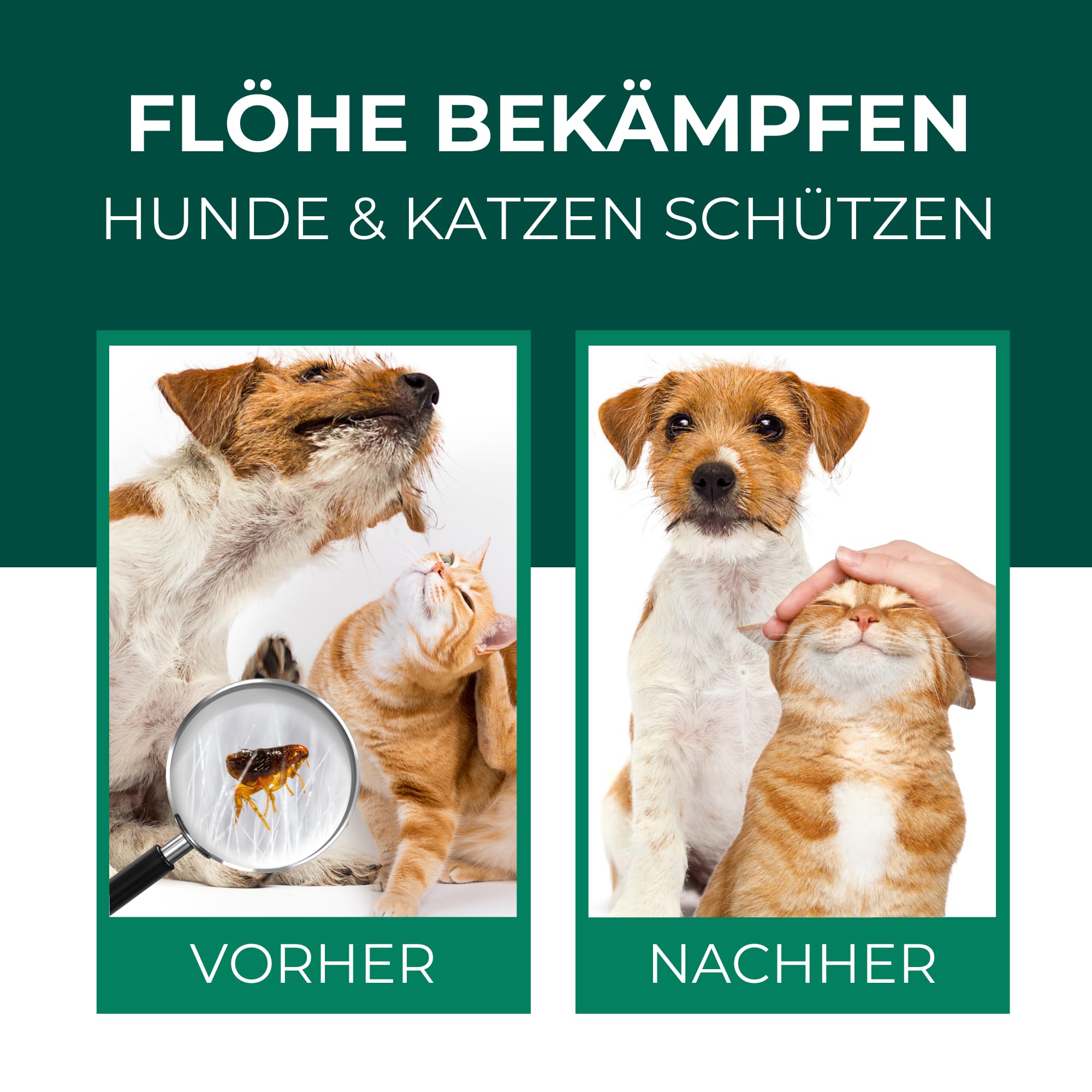 Silberkraft Flohmittel, Floh-Spray 2 L - Flohspray für Hund, Katze und andere Haustiere - Anwendung am Tier - ideales Anti-Floh-Mittel gegen Flöhe, Zecken, Parasiten, Ungeziefer…