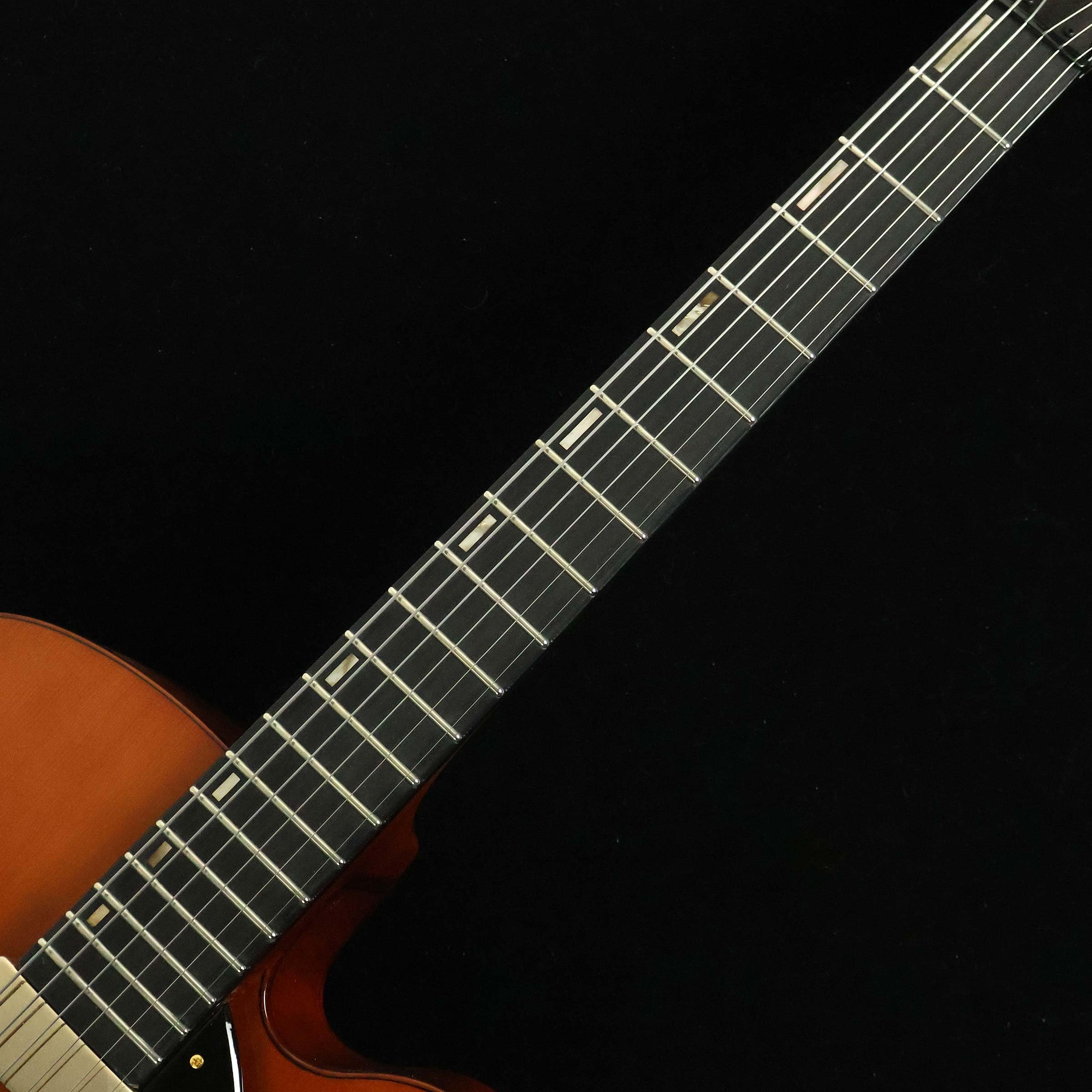Amazon.co.jp: Ibanez AFC151-DA Artcore Series Full Hollow
