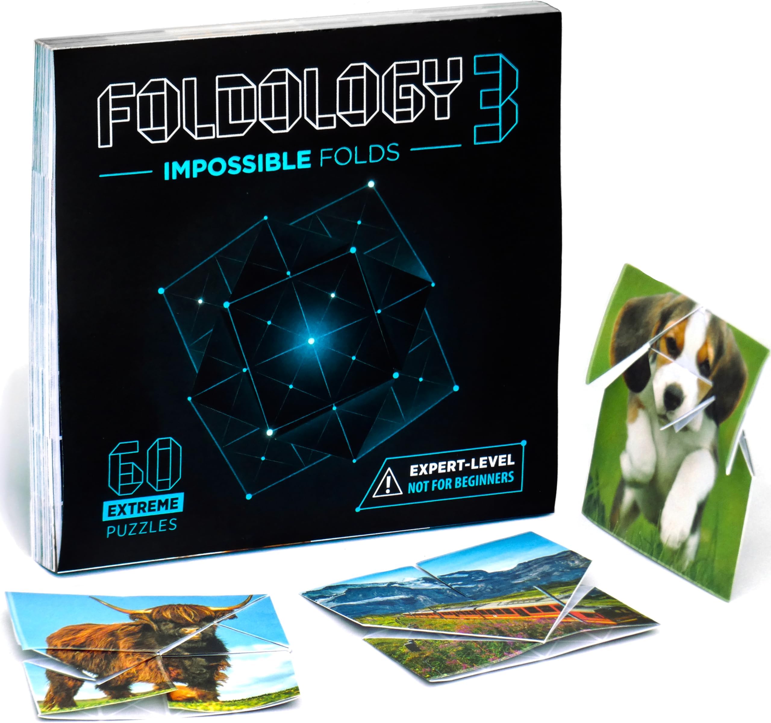 Foldology 3 - Impossible Folds. Expert-Level Puzzle Game. 60 Extra-Hard Origami Brain Teasers. Not for Beginners.