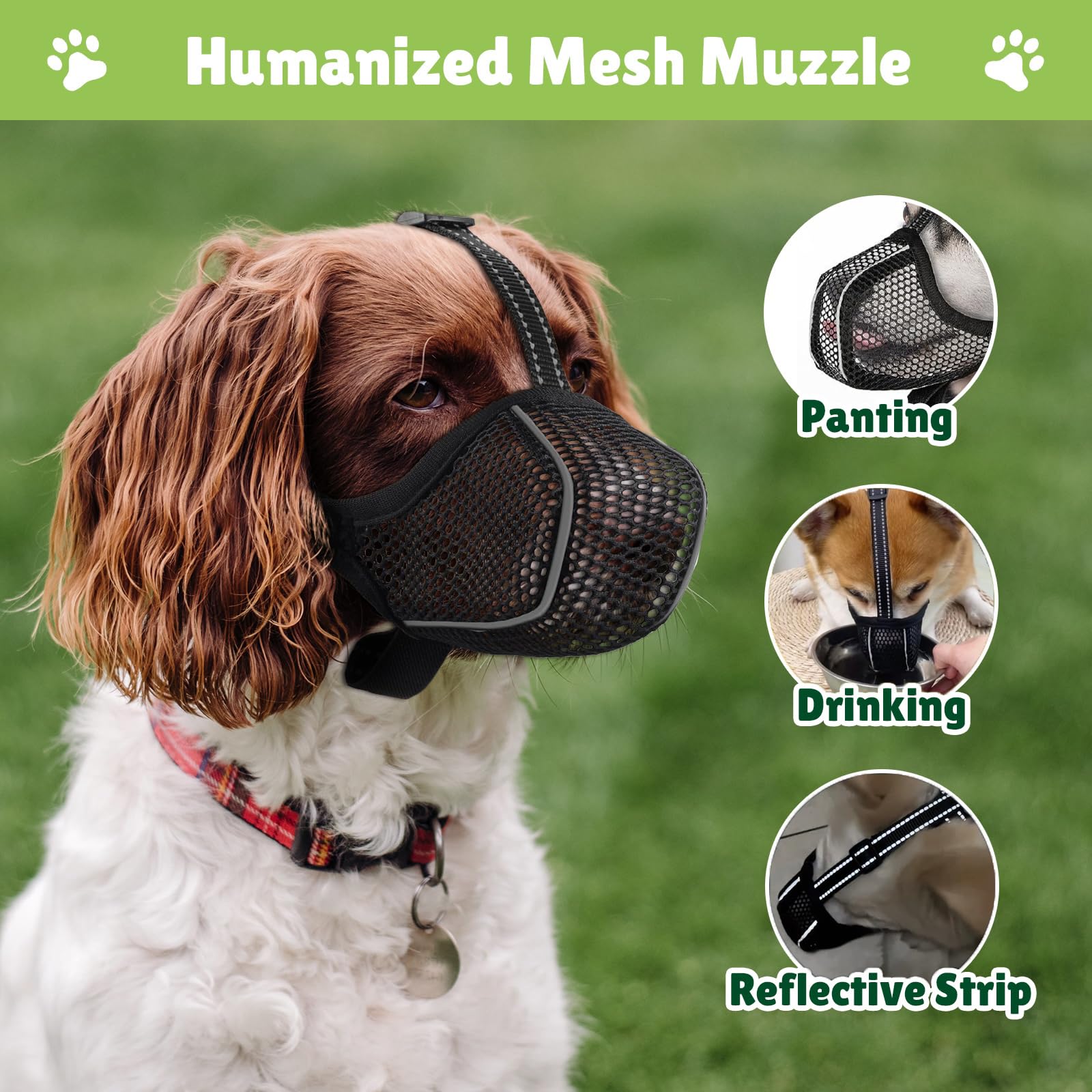 Muselières pour Chiens Anti-Grignotage, Colliers pour Chiens, Muselières Respirantes Réglables pour Animaux de Compagnie,Prévenir l'ingestion Accidentelle,Convient Animaux de Moyenne Taille(M)