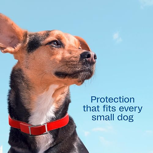 Miniatura 4 de Collar de pulgas y garrapatas Adams Plus, Perro, S, Rojo