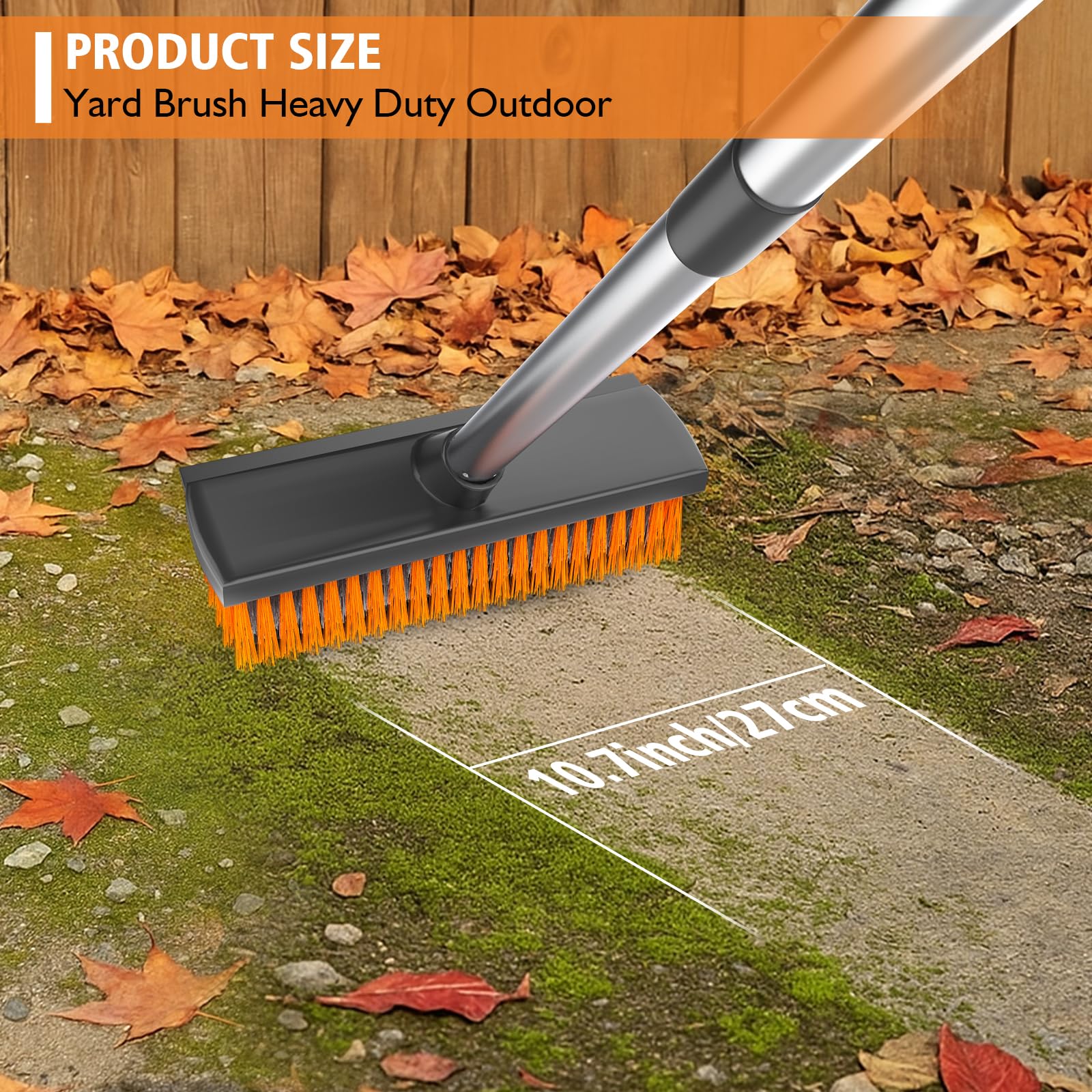 View 3