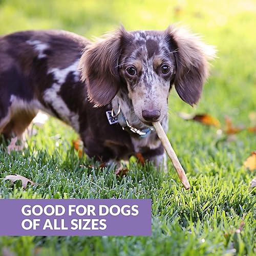 Miniatura 5 de Palitos de colágeno de carne para perros (paquete de 25, 5 pulgadas) masticables de larga duración para perros (sabor a pato) sin ocultar para