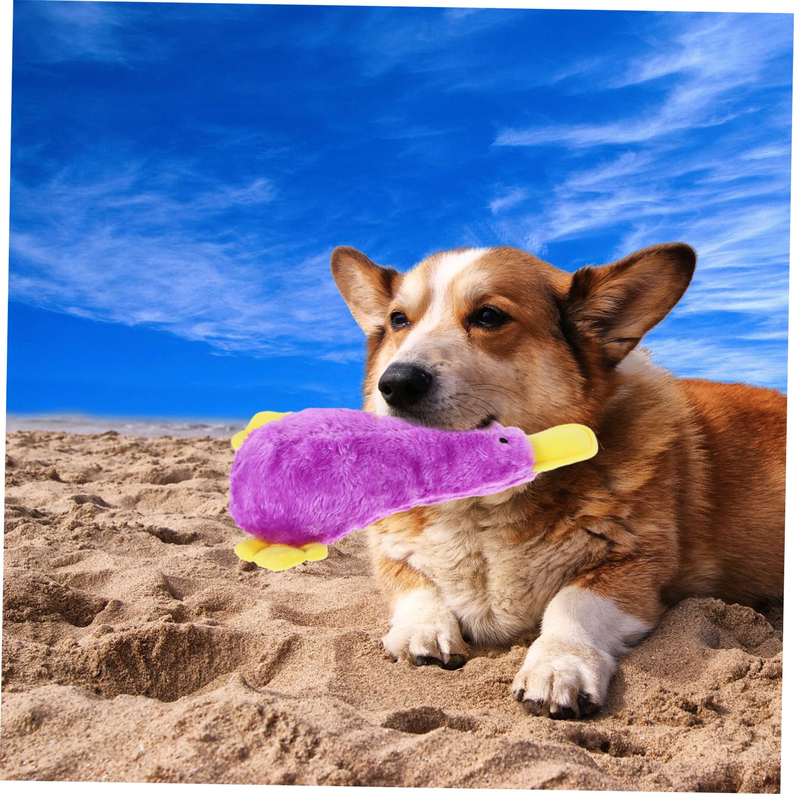 TOYANDONA Jouet Peluche Chien Couine pour Chiot Jouet à Mâcher Oiseau pour Animal de Compagnie Motif Dessin Animé