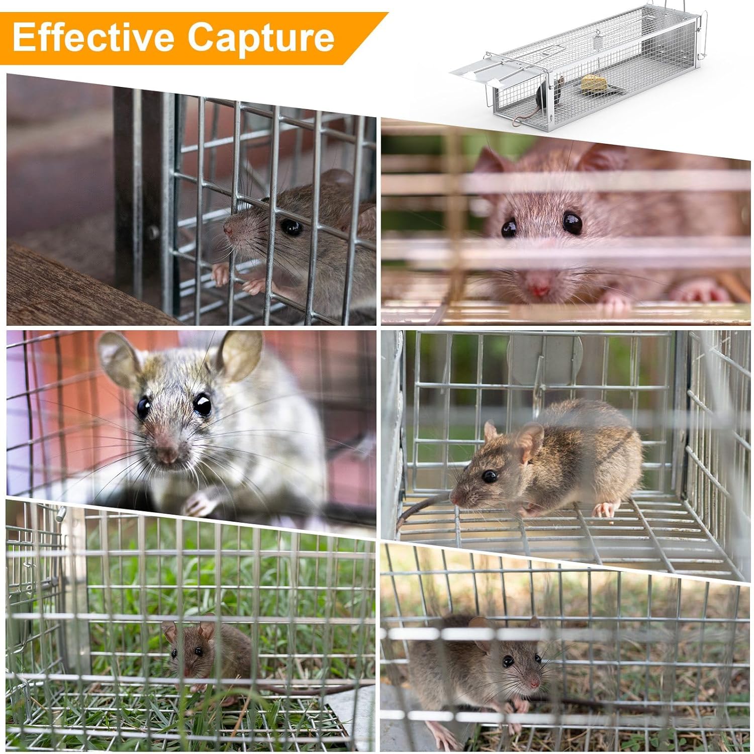 2-Door Humane Rat Cage Trap, Metal Live Animal Trap Cage, Small Humane Catch Release Rodent Cages, Upgraded Indoor & Outdoor Live Traps for Squirrels, Mouse, Rats, Mice - 16.6x6.1x4.33 Inches