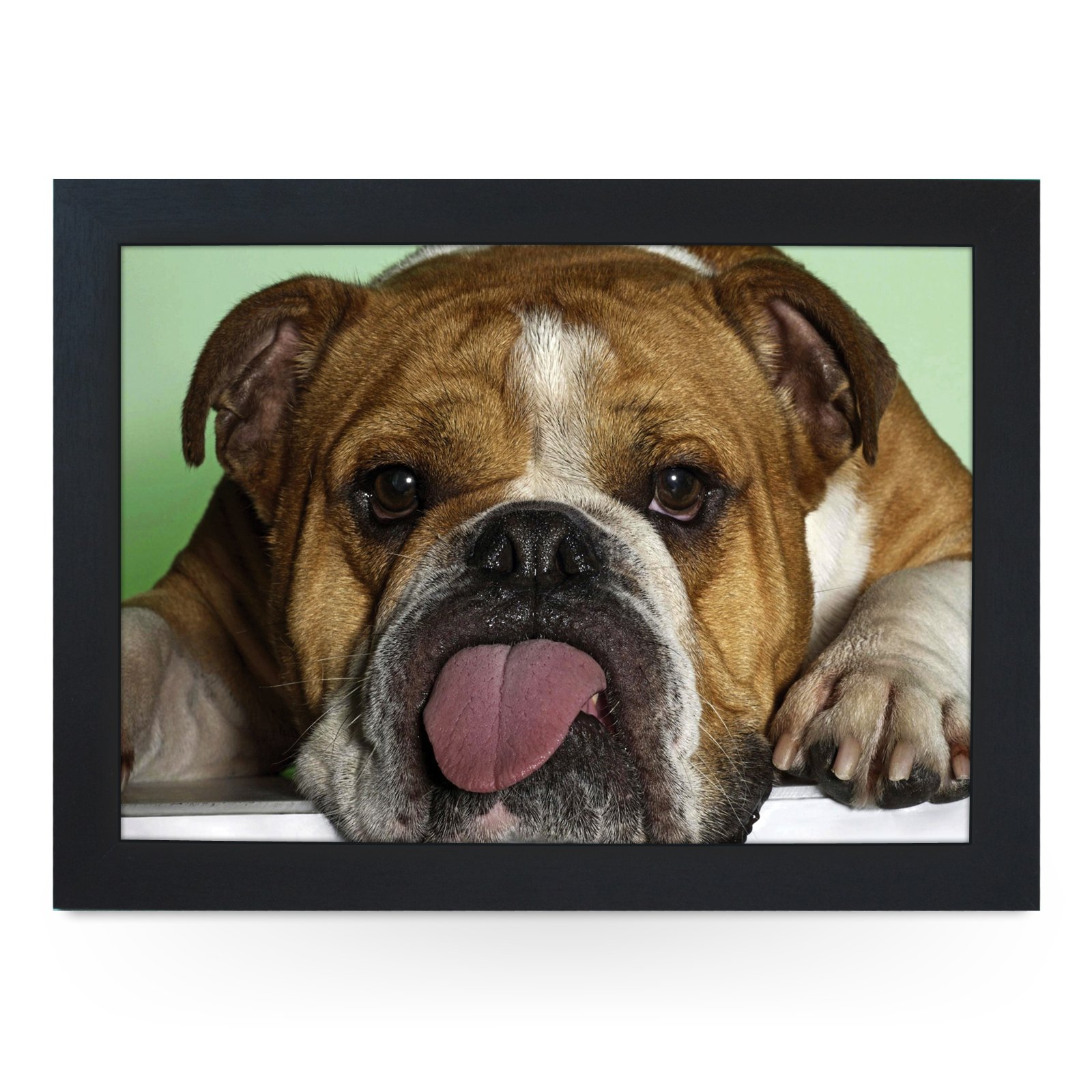 Yoosh Black Portable Lap Desk Tray (Bulldog Sticking Tongue Out) Handmade Wooden Frame, Beanbag Cushioned Bottom | Computers, Laptops, Meals, Food | L0176