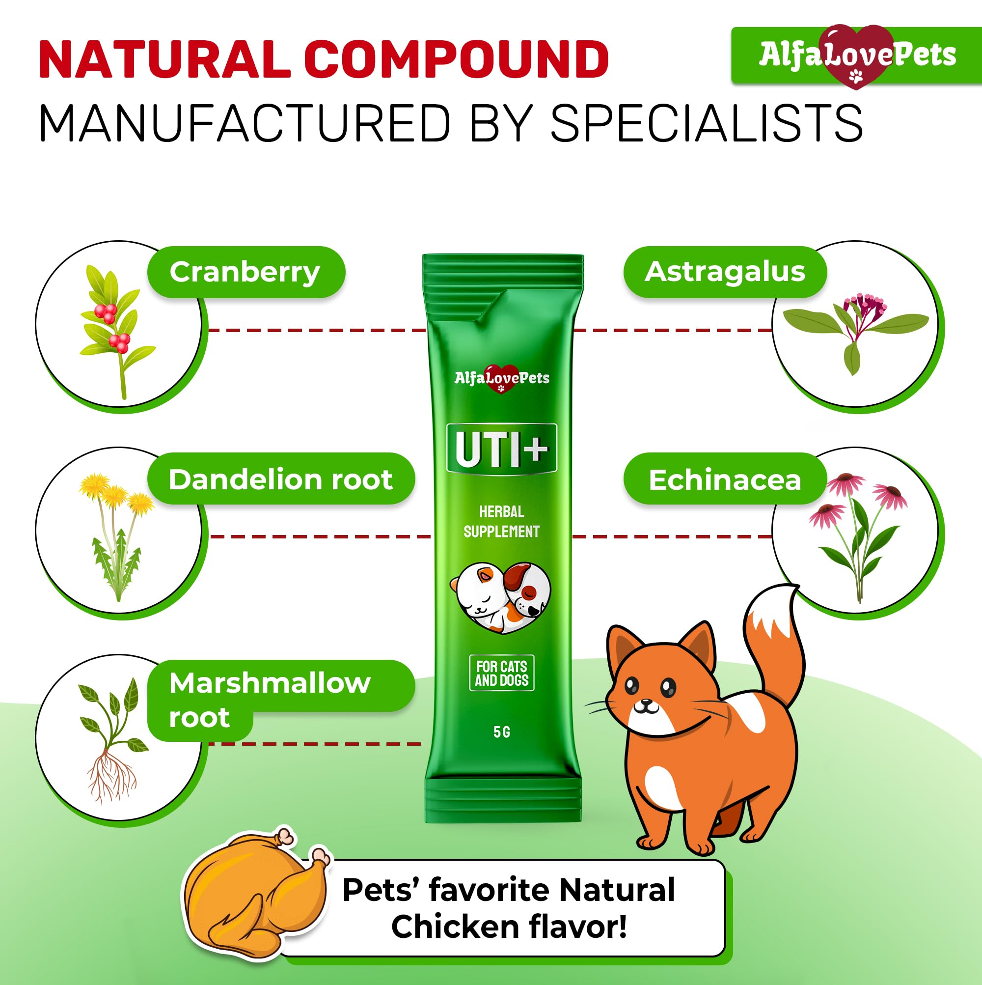 Cat UTI Treatment for Frequent Urination, Bladder & Kidney Irritation – Squeezable Dog UTI Treatment for Natural Care – Creamy UTI+ Cranberry Supplement for Dogs with Chicken Flavor – 10 Sticks x 5 g — Amazon image 3