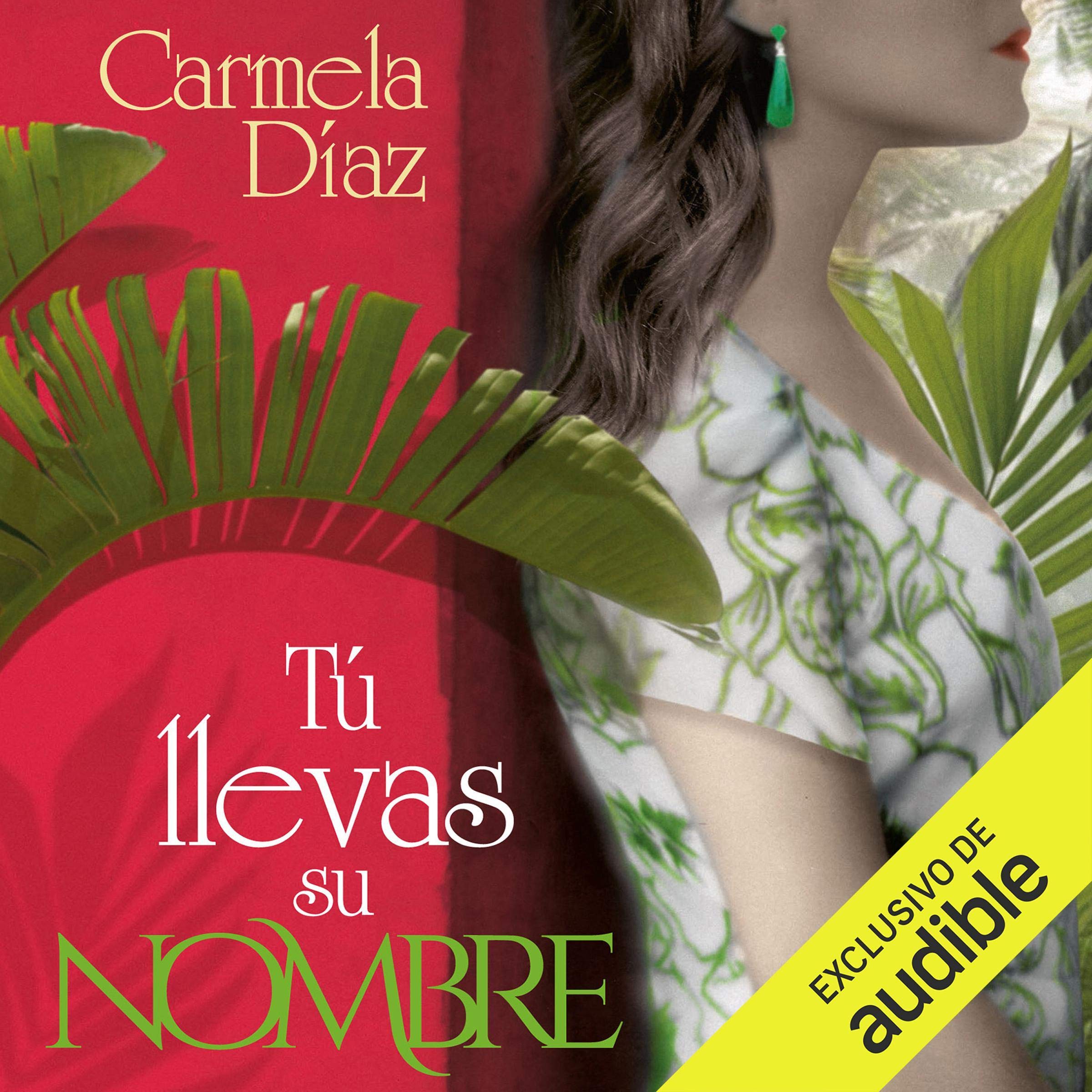 Cover art for Tú llevas su nombre [You Carry His Name]