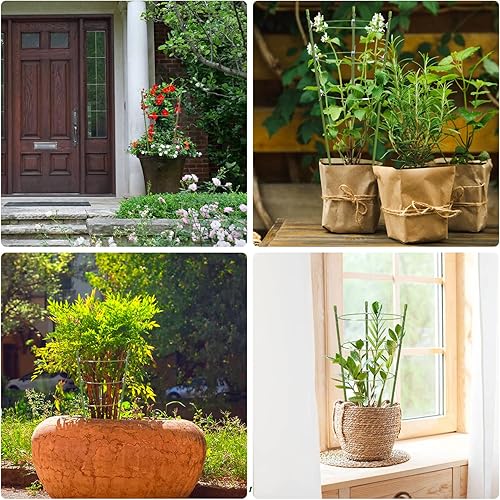 Miniatura 7 de Paquete de 8 jaulas de tomate de soporte para plantas para jardín, jaulas de tomate pequeñas de 18 pulgadas y soportes con anillos ajustables para