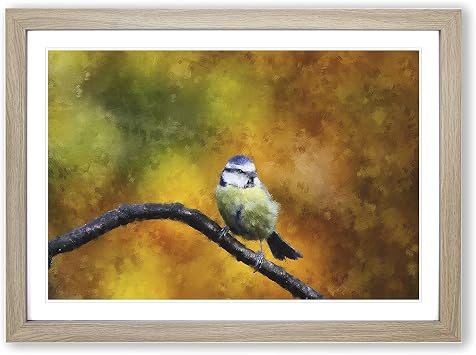 Blue Tit Bird Framed Wall Art Print A2 Oak