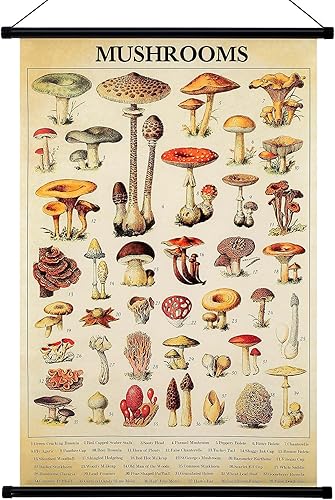 Geyee Póster vintage de hongos, impresiones artísticas de hongos rústicos para colgar en la pared, tabla de referencia ilustrativa para sala de