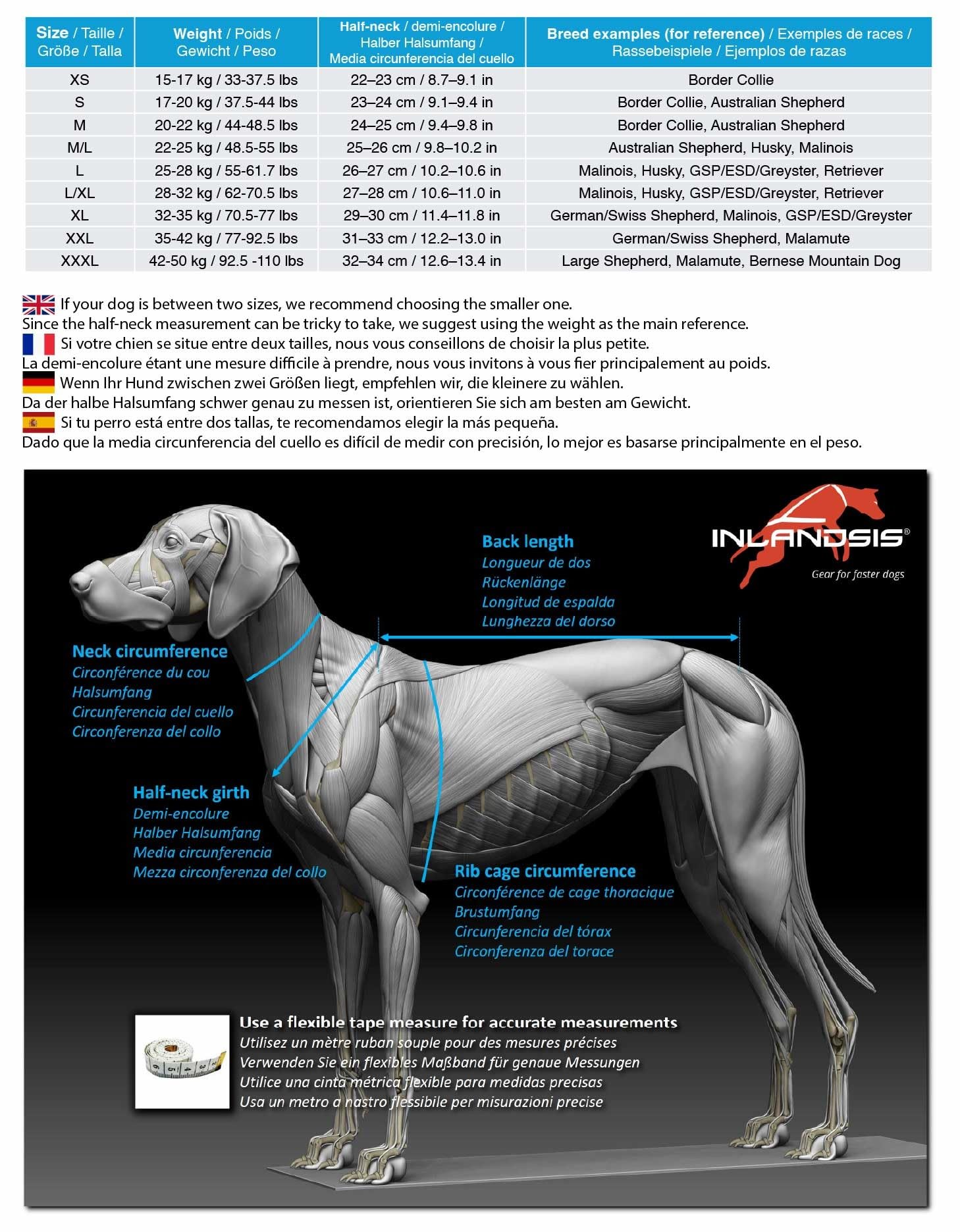 Harnais Polyvalent pour Chien Inlandsis Polar Quest X-Back – Léger, Ergonomique et Résistant – Canicross, Cani-VTT, Promenade et Randonnée (Chien>15kg)