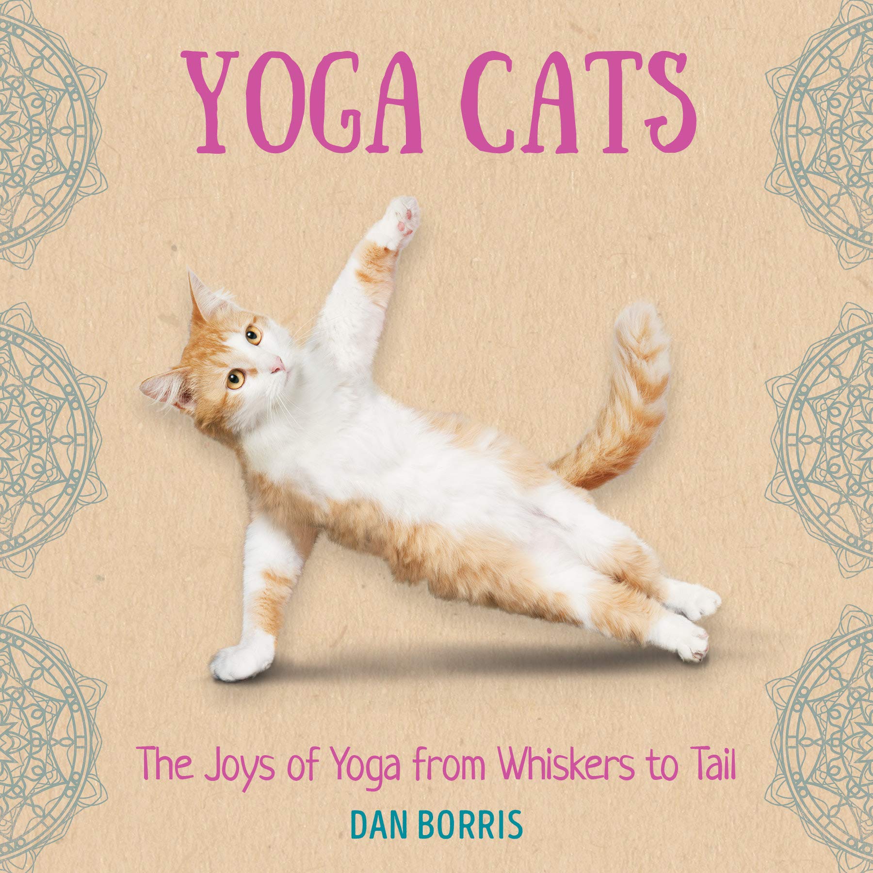 Yoga Cats: A Humorous Gift Book for Cat and Yoga Lovers