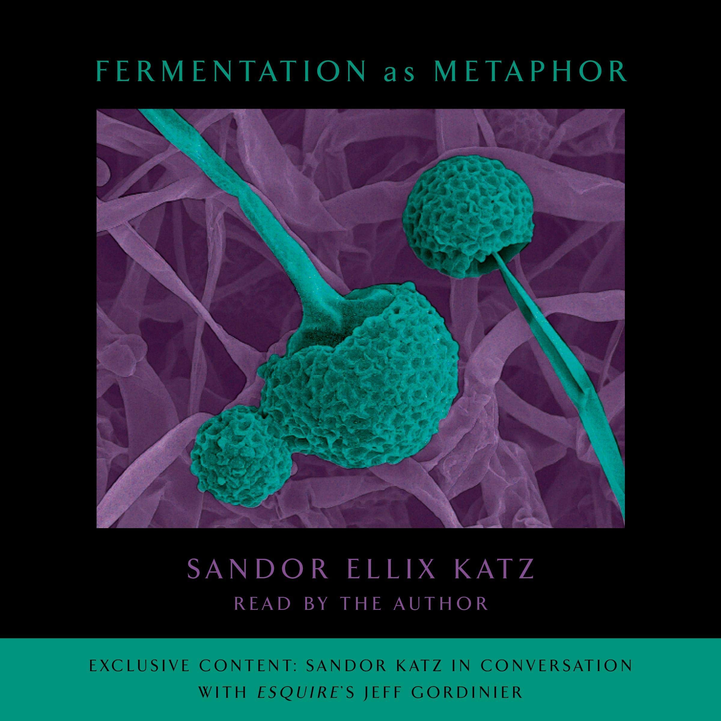 Cover art for Fermentation as Metaphor