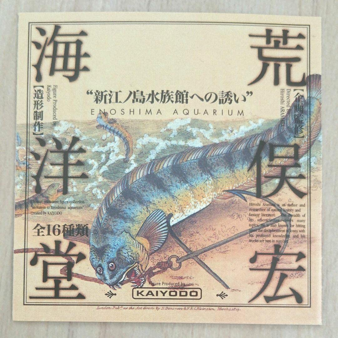 ツマグロ 新江ノ島水族館への誘い