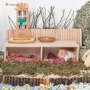 Niteangel Hamster Secret Peep Shed 2 Odalı Saklanma ve Tünel Keşif Oyuncakları (Büyük - Suriye Hamster için)