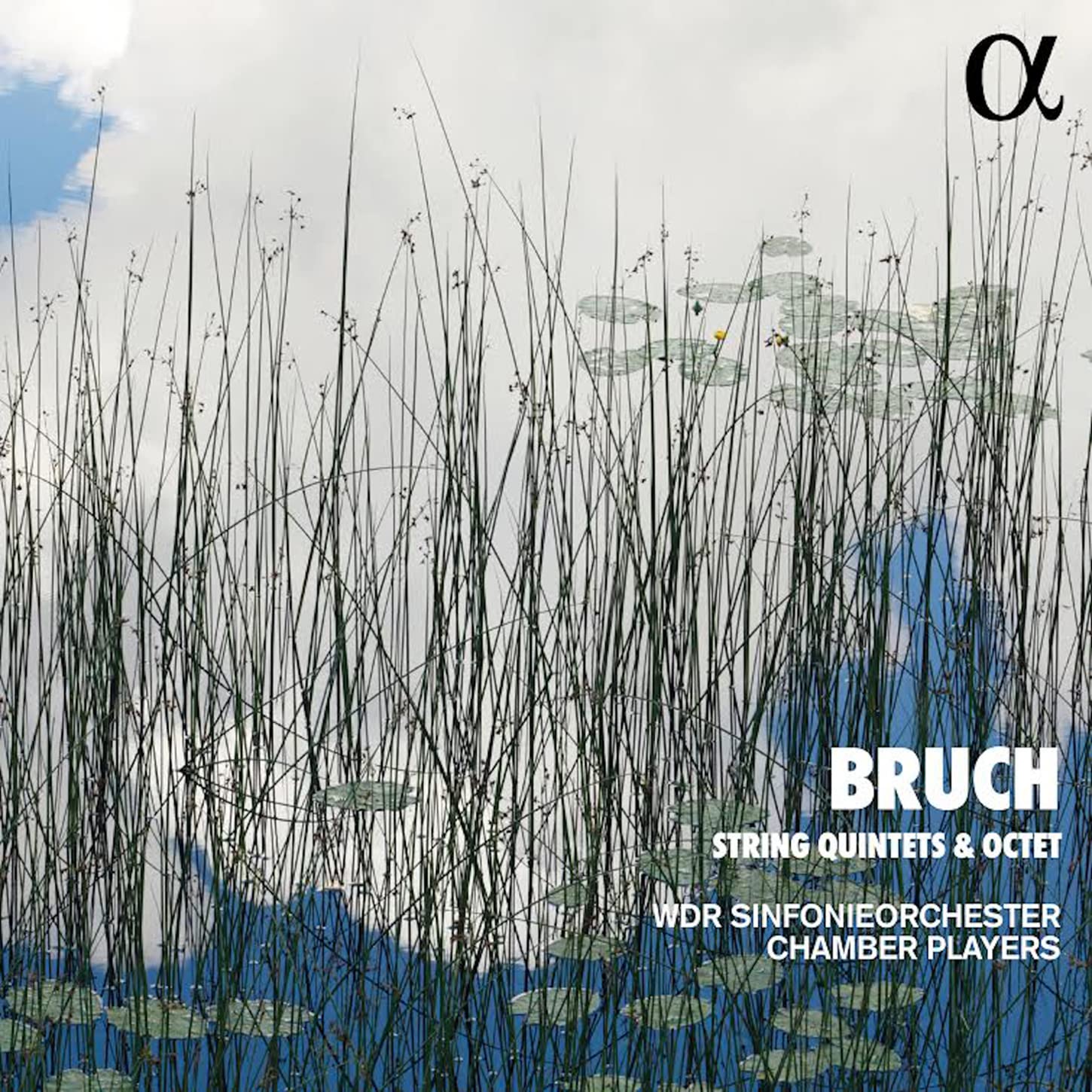 Bruch: String Quintets & Octet