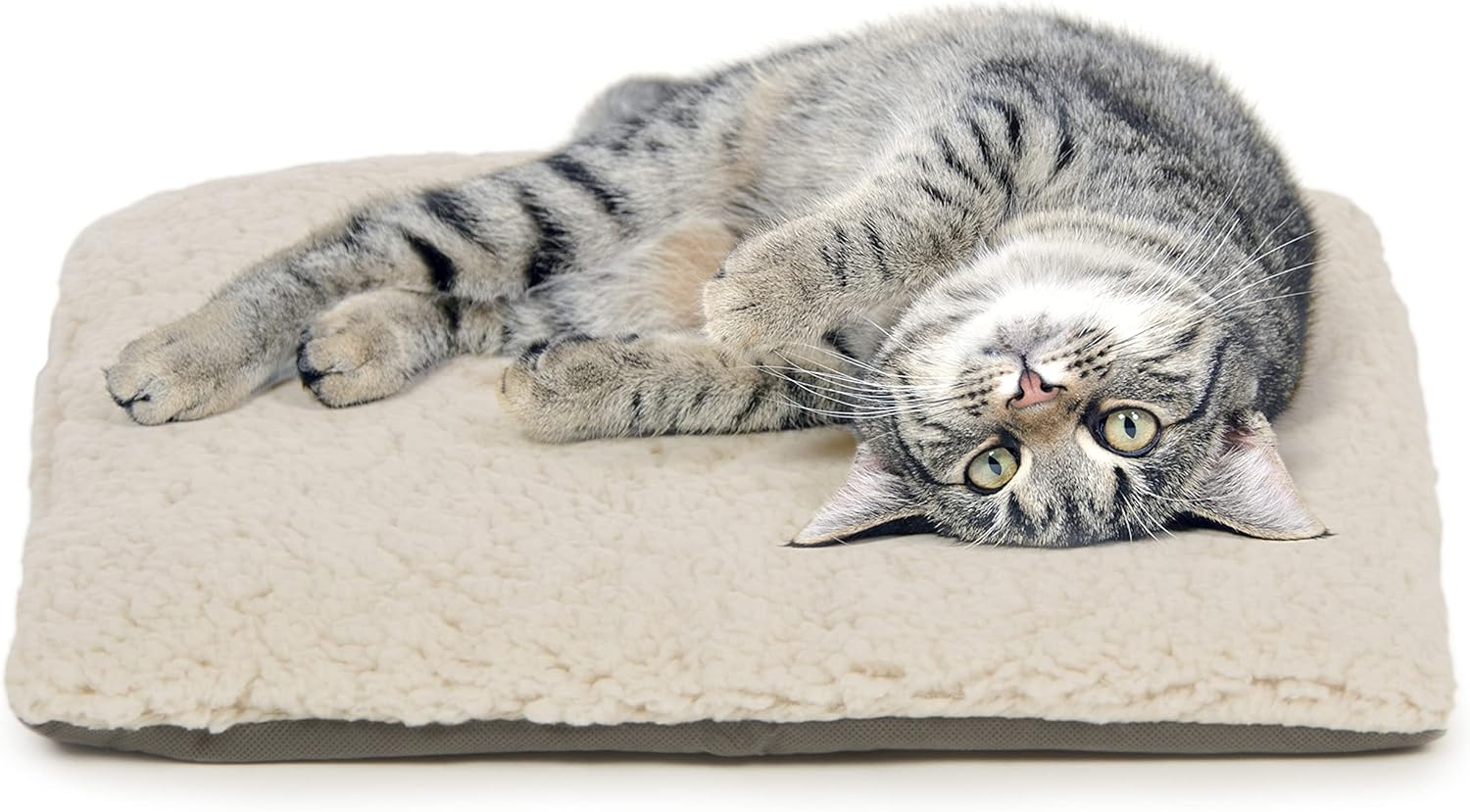 SmartyKat Crinkle Cloud Plush Pet Mat for Cats & Kittens, Hidden Crinkle Sounds, Machine Washable Cat Bed - Cream, One Size : Everything Else