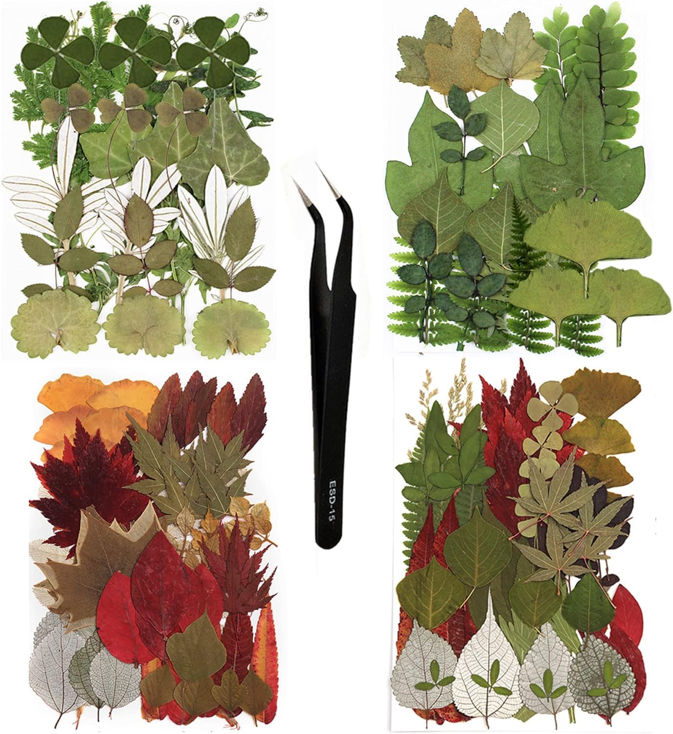 129 foglie secche, fiori secchi, verdi, pressate naturali, per candele, resina, gioielli, sapone, cornici per foto, ciondoli