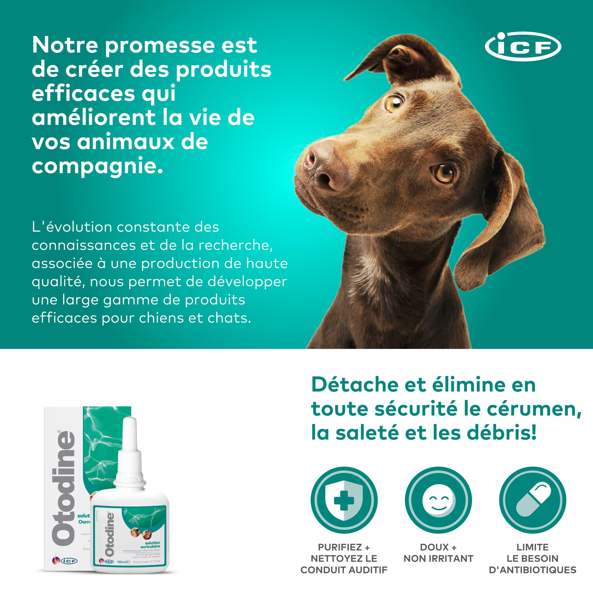 ICF Otodine | Nettoyant Oreille Chien et Chat | Nettoyant Auriculaire Assainissant pour Chien et Chat | Soin pour l'Hygiène et la Santé Auriculaire des Animaux Sujets à l'Otite Externe | 100ml
