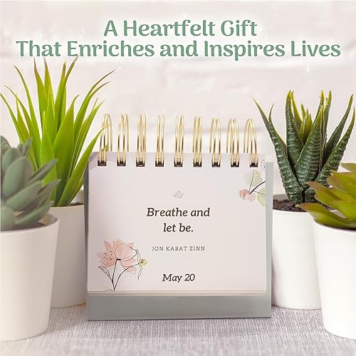 Miniatura 5 de MESMOS Regalos inspiradores para mujeres, regalos de agradecimiento a profesores para mujeres, calendario perpetuo con 366 afirmaciones diarias,