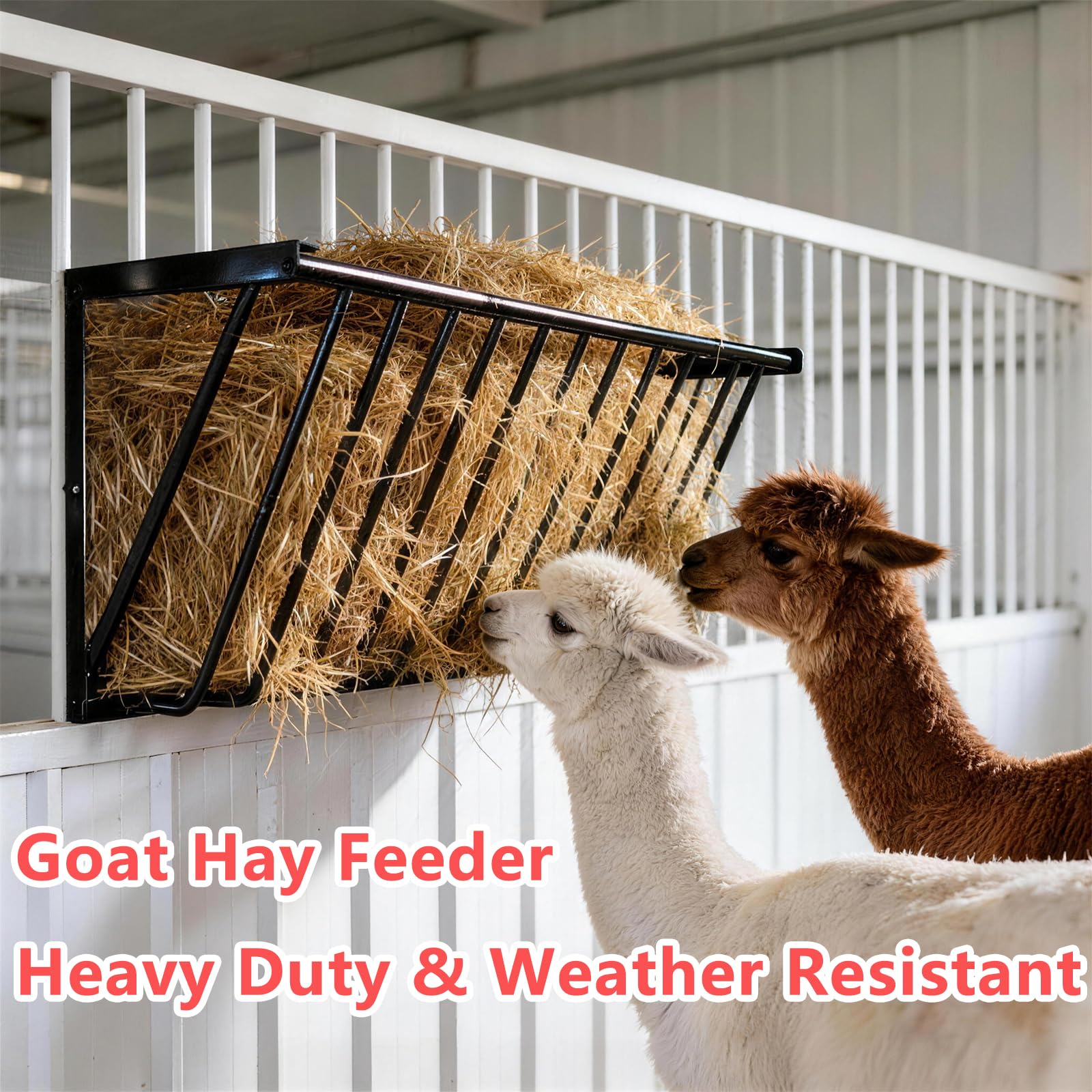 Comedero de heno para cabras, gran capacidad de 67 galones, estante de heno de pared de hierro resistente, soporte para mantas, 63 pulgadas de largo para cabras, caballos, ganado y otros ganados, uso