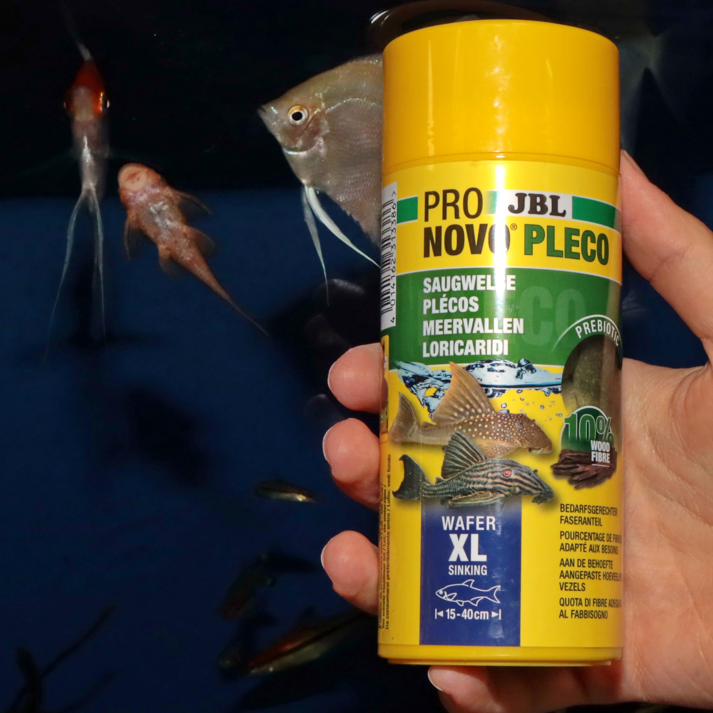 JBL Pronovo PLECO Wafer - Comida para Peces, Talla XL, 250 ml