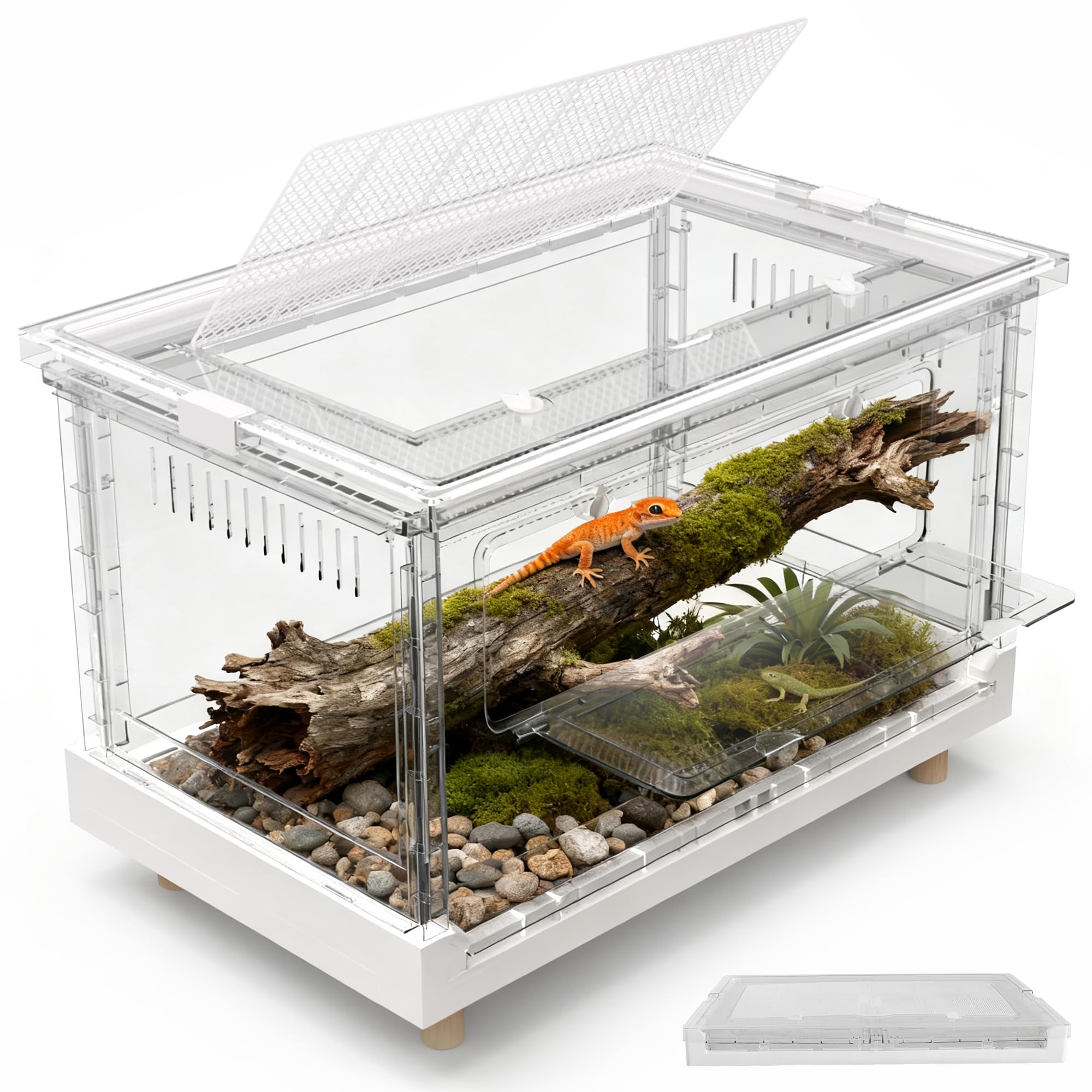 Amazon.com : Foldable Reptile Terrarium, 30 Gallon Bearded Dragon