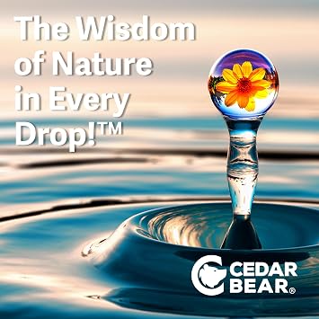 Cedar Bear Lemon Balm Leaf Liquid Herbal Supplement, 2 Fl Oz