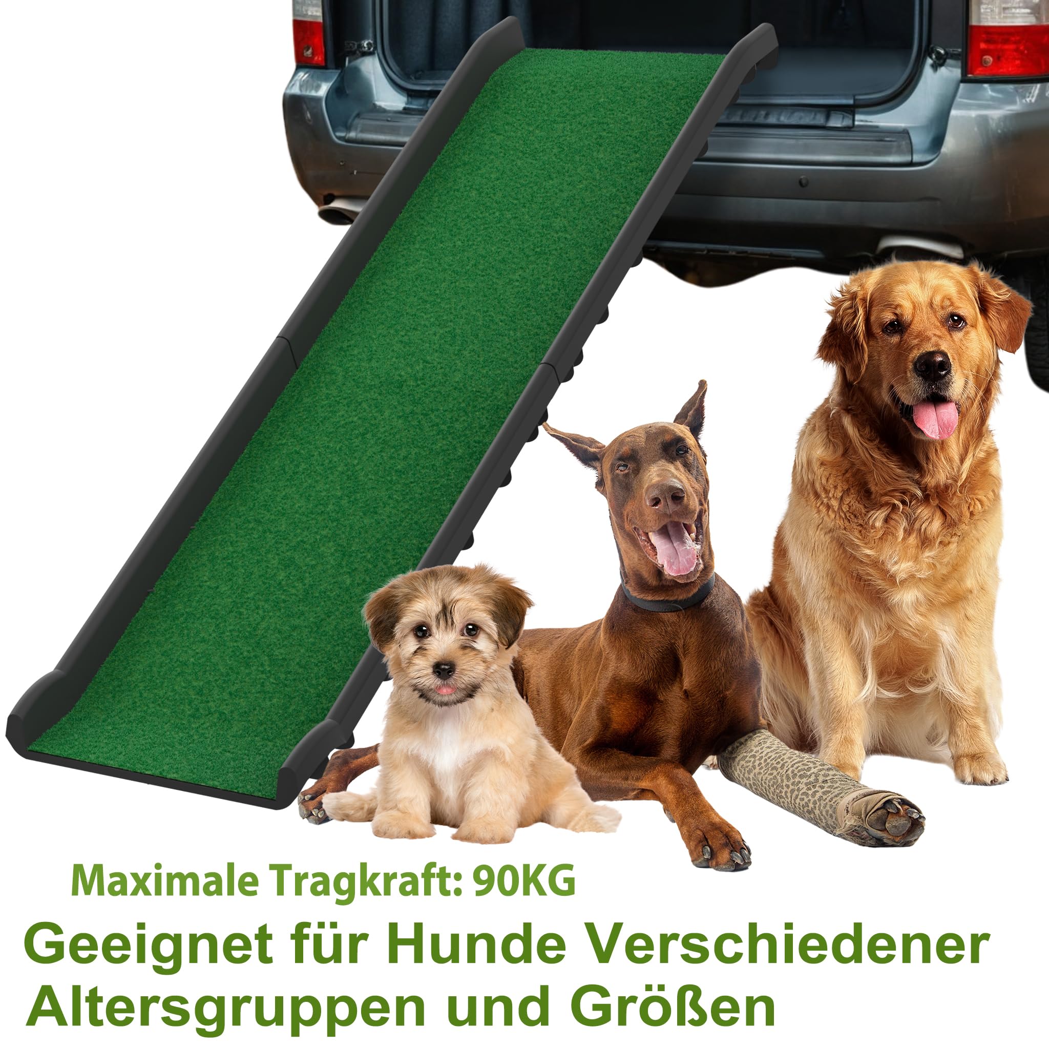 YRHome Hunderampe Auto klappbar 156 x 40cm Kunststoff Anti-Rutsch Autorampe Kofferraumrampe für Haustiere Hunde-Rampe Hundetreppe Einstiegshilfe für Kofferraum Robust bis 90 kg Grün