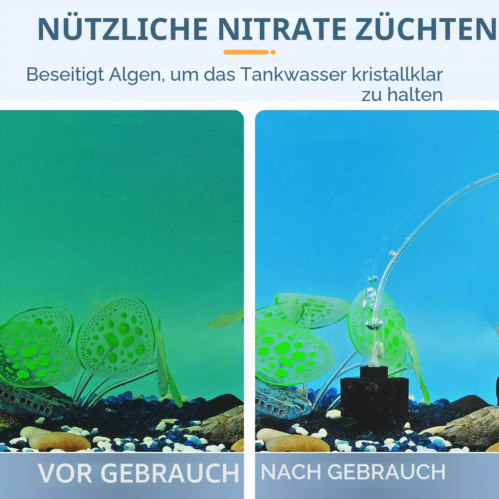 Pawfly Aquarium Schwammfilter, Aquarium Filter Klein mit Luftschlauch und Regelventil mit Zubehör für Kleine Aquarien bis zu 12 L