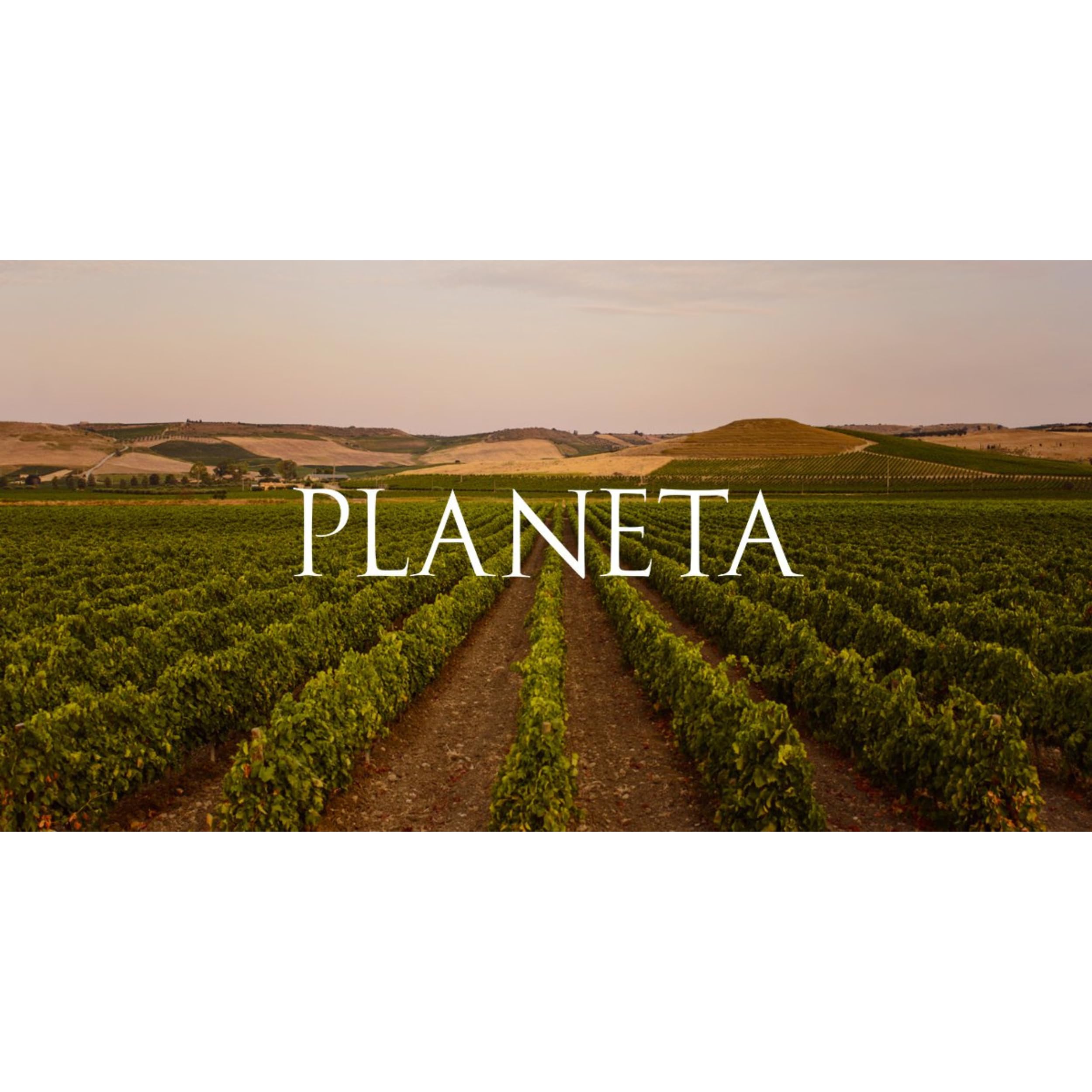 VINO PLANETA CHARDONNAY 2022 (6 pz) SICILIA MENFI DOC-75CL