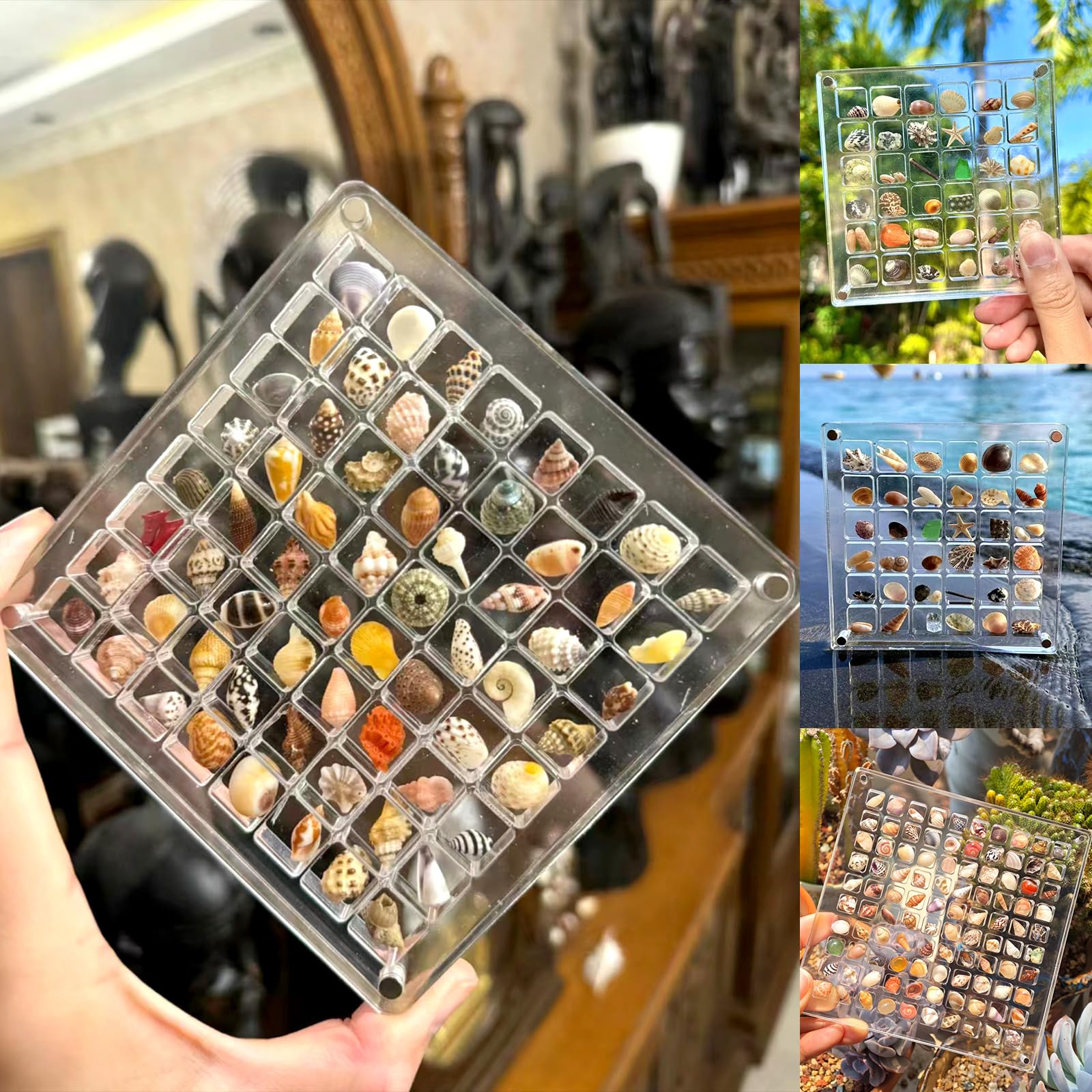 Vordpe Transparent Acrylic Magnetic Seashell Display Box, Clear Storage Box, Seashell Organizer, Diamond, Gemstone (64 Grids)