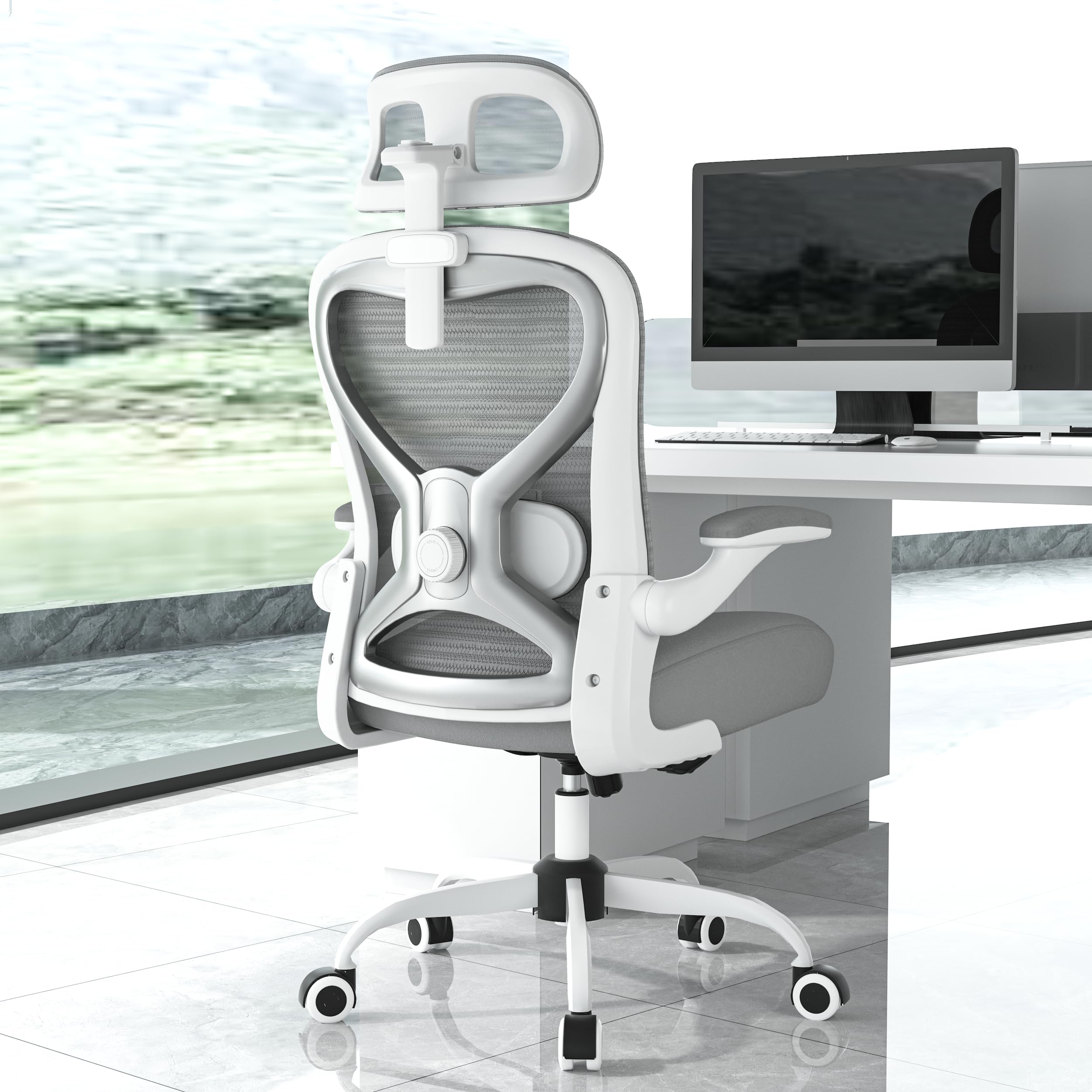 Ergonomic Office Chair for Back & Neck Pain Relief