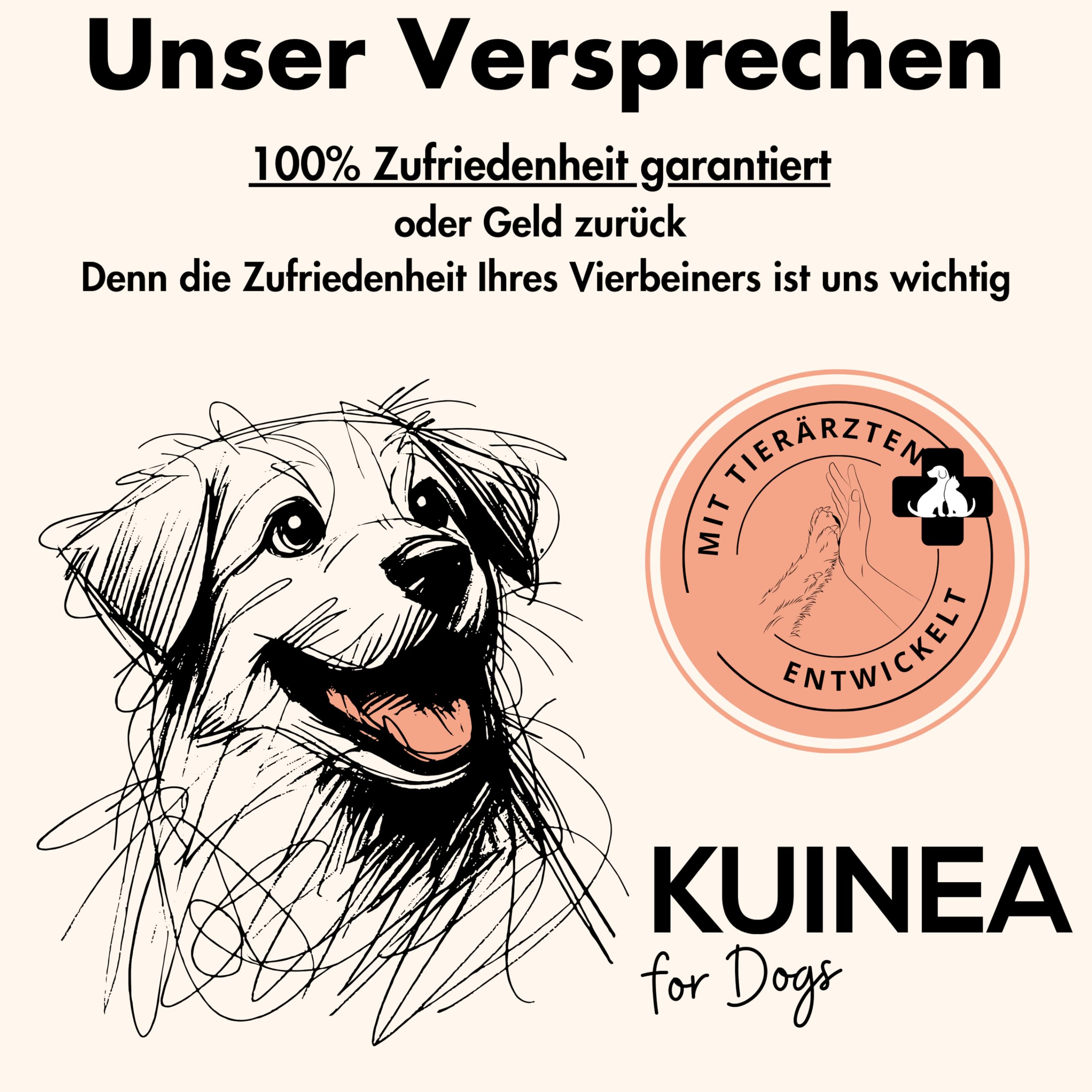 KUINEA® 3X Multivitamin Snack für Hunde – All in One Vitamine als Leckerli – 3X 120 Snacks (1080g) – Ergänzungsfuttermittel mit Vitaminen & Mineralstoffen – ab 6 Monaten (3er Pack)