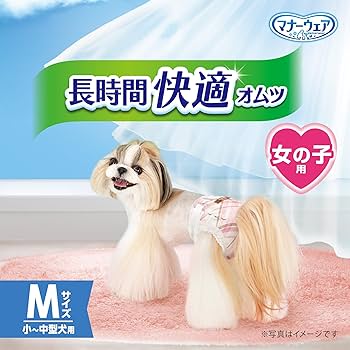 10セット　ユニチャーム　マナーウェア長時間快適　SS 女の子用 10セットユニチャームマナーウェア長時間快適SS 女の子用