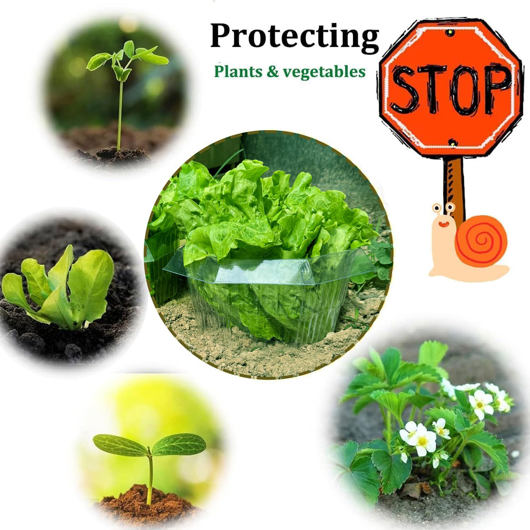 Colliers Anti-Limaces et Escargots, Anneaux Anti Limaces Efficaces, Protection Plantes Contre Escargots, 20 Pièces