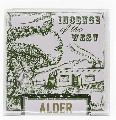 ladrillos de incienso de madera natural de piñón, 40 unidades