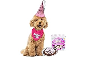 Pup-tacular Birthday Bash: Dog Birthday Cake Pack