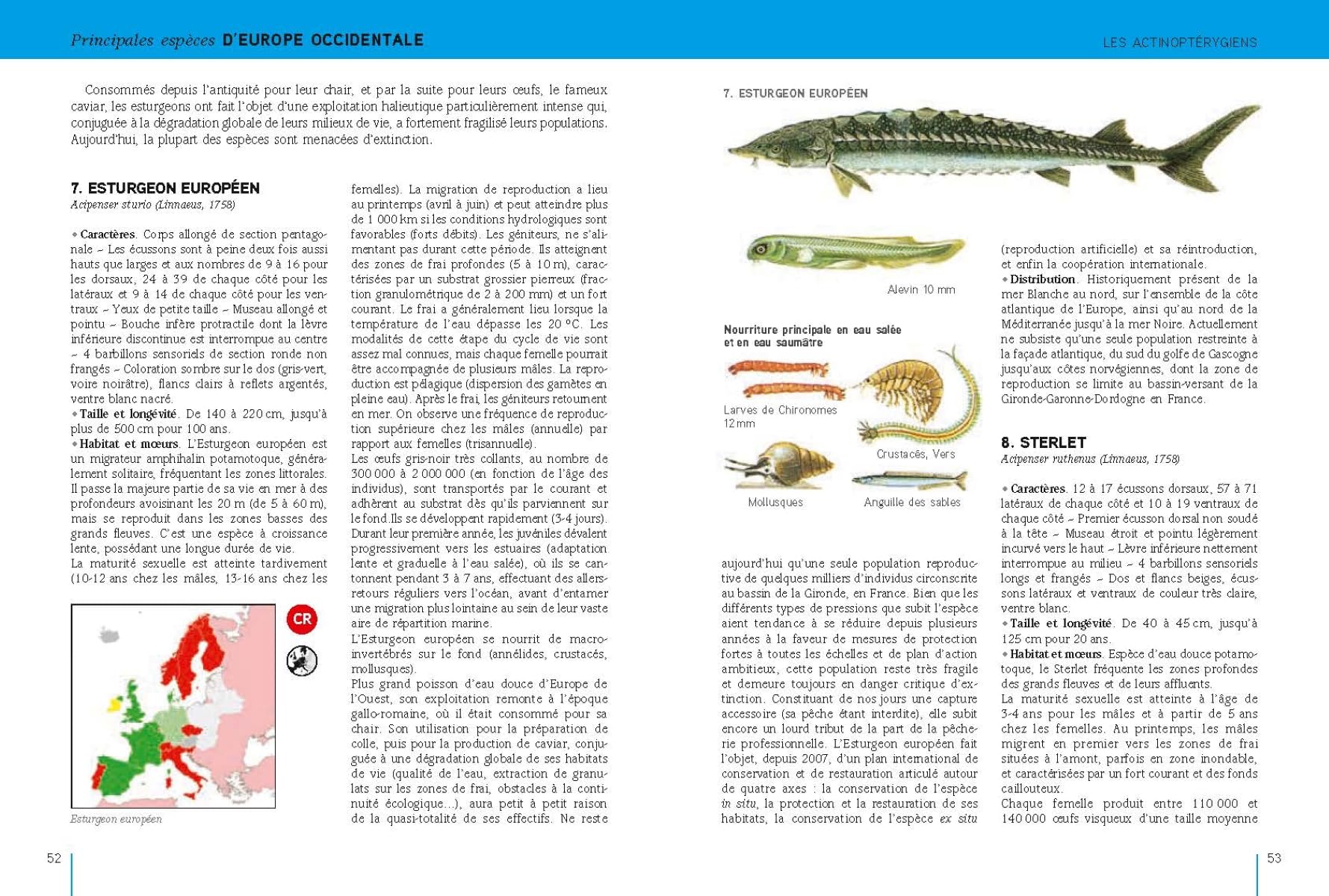 Poissons d'eau douce: d'Europe occidentale tempérée et de Scandinavie