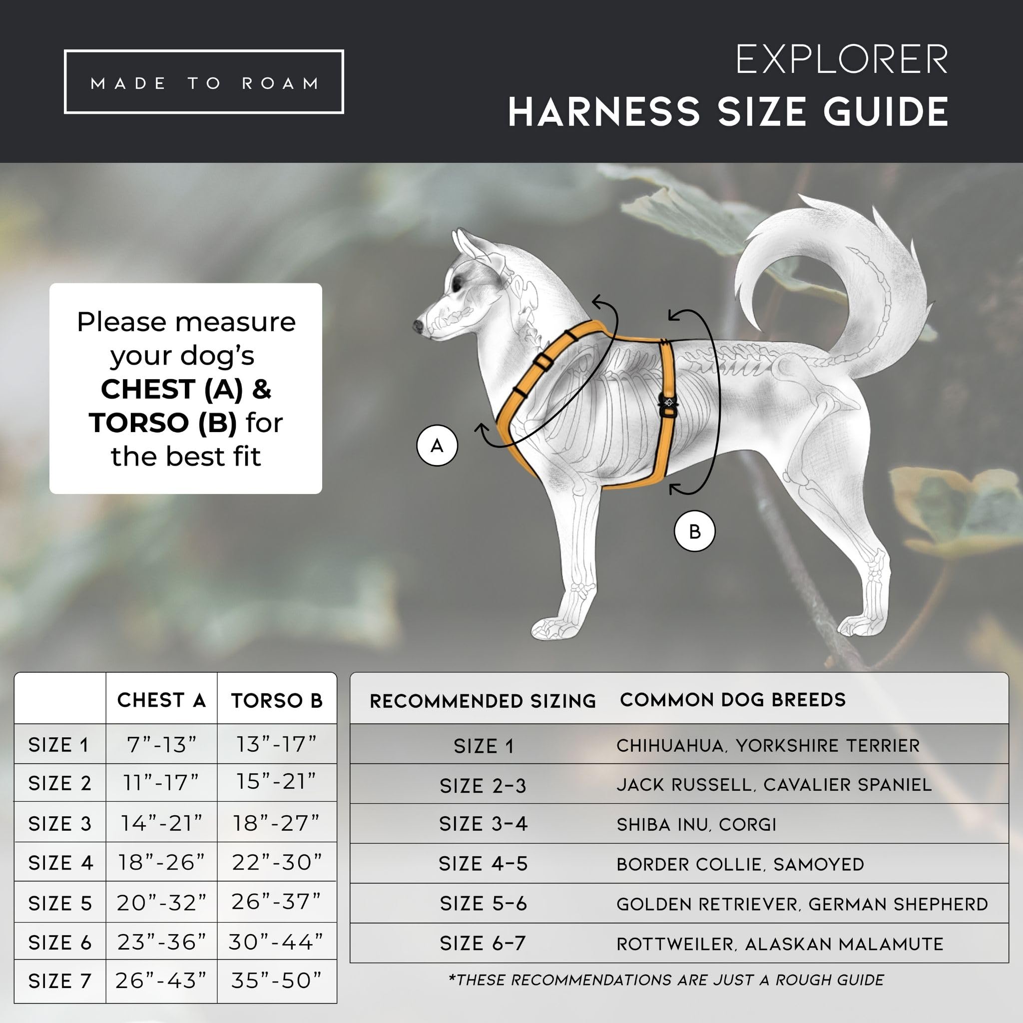 MADE TO ROAM Arnés Explorer de alta calidad, arnés para perro en forma de Y con nailon ajustable y duradero, acolchado suave, hebillas de metal y mango de cuero para perros pequeños, medianos y