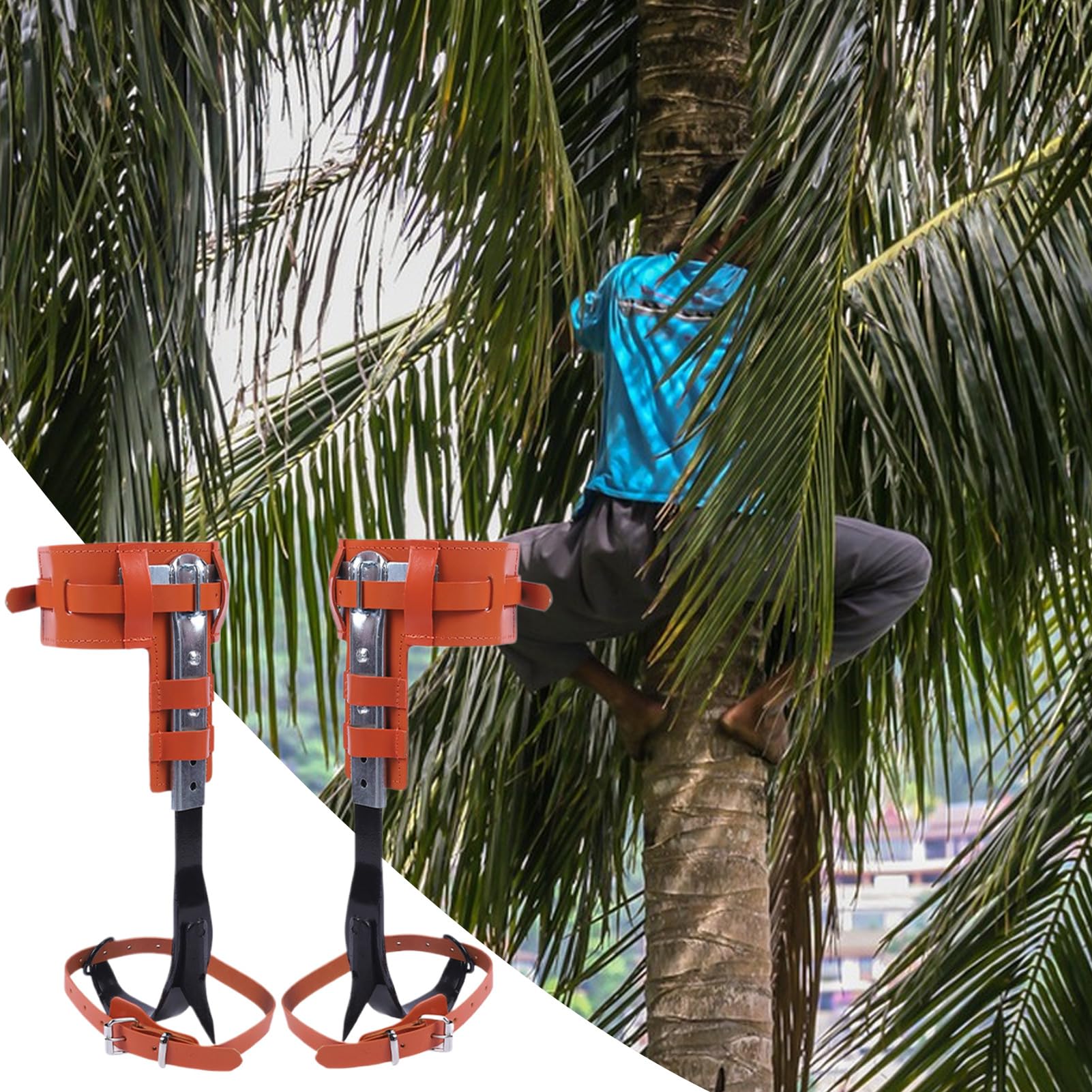 Kit De Griffes D'Escalade D'Arbres,Crampon d'Élagage en Cuir Vachette - Accessoire de Loisirs Extérieurs Ergonomique Réglable en Hauteur pour l'Élagage, la Coupe, la Gestion de Verger, le,Idéal pour l