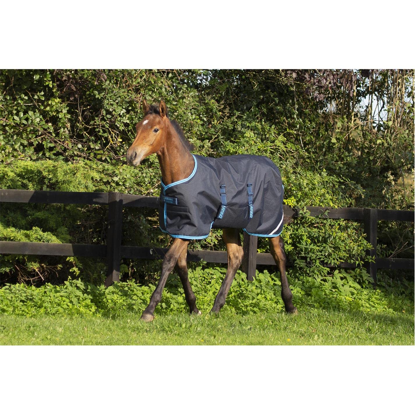 Horseware Manta para Caballos de Exterior Amigo Foal Rug