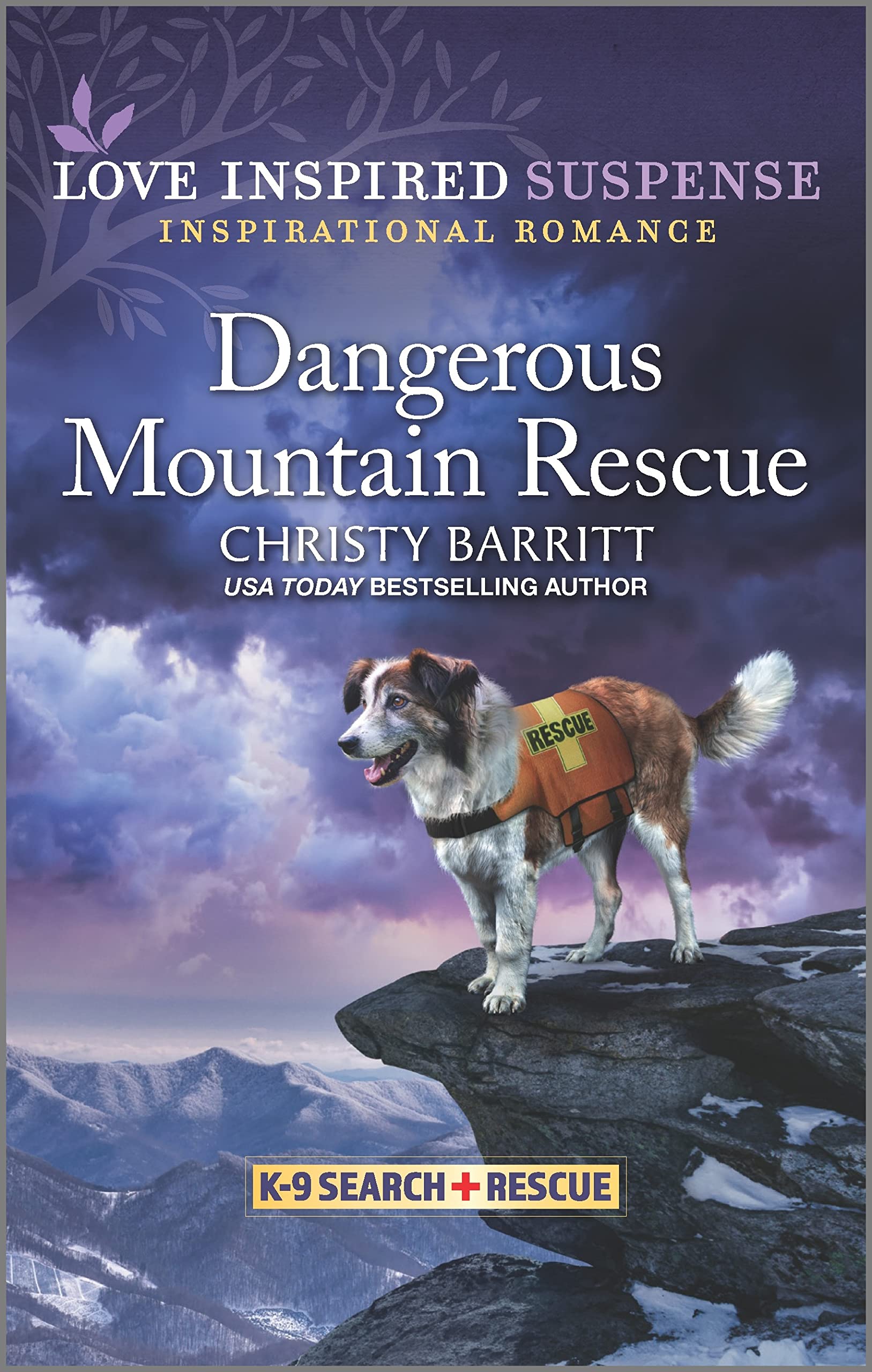 Dangerous Mountain Rescue (K-9 Search and Rescue Book 6)
