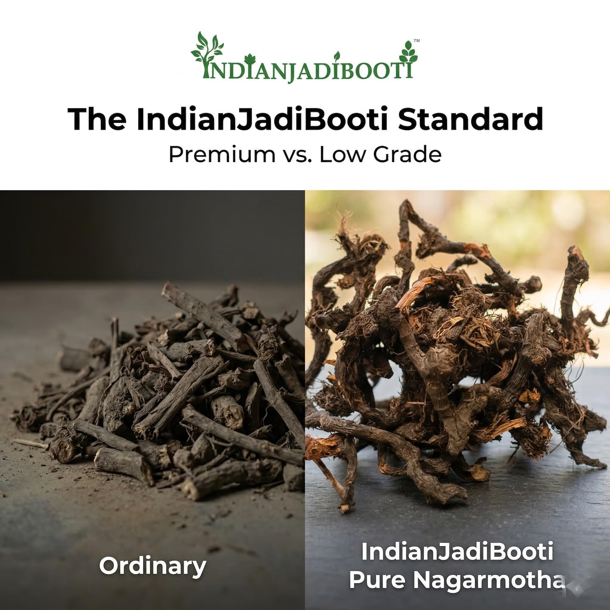 IndianJadiBooti Pure Nagarmotha Roots (Whole Mustak/Cyperus Rotundus) | Raw Nutgrass Tubers for DIY Hair Oil, Digestion & Herbal Decoctions (100 Grams) | (Pack Of 2) — Amazon image 4