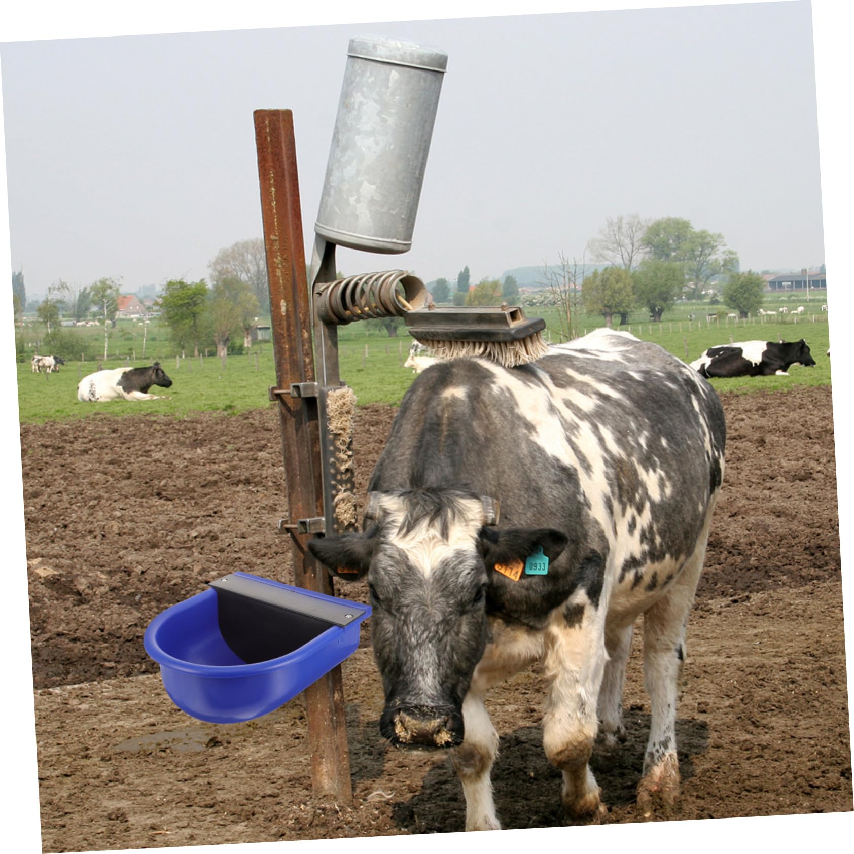 ibasenice Bebedero para Ganado Automático Plástico Suministro Nivel Constante Tamaño Estándar Uso Agrícola Vacas Cabras Caballos Ovejas Color Aleatorio