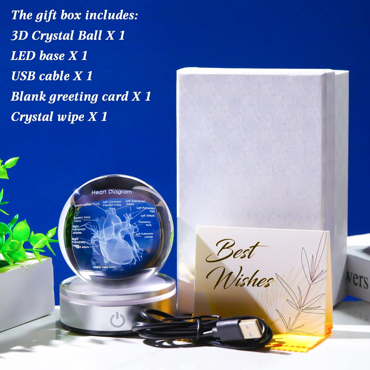 Enjinkail 3D Heart Model Crystal Ball Doctors Gift, Cardiologist Gift for Men and Women with Colorful LED Base, Medical Statue for Psychology Graduation, Christmas Heart Anatomy Art Decor - Image 7