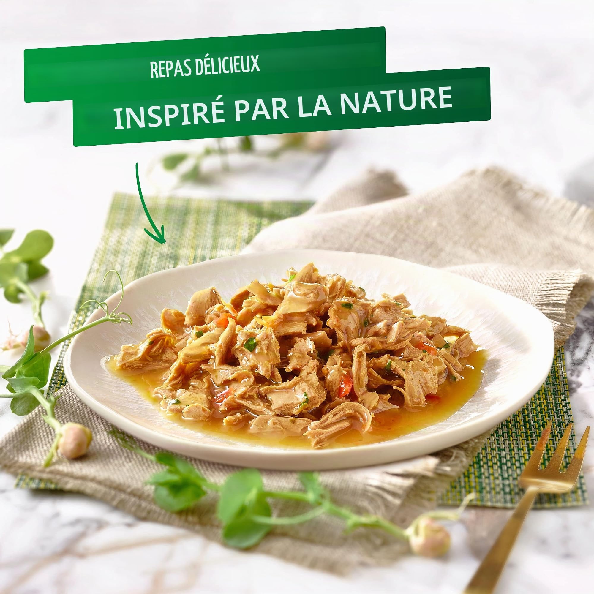 Purina Gourmet Nature's Creations Bœuf